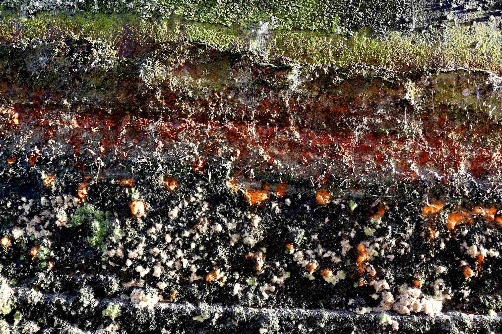 2013 06 18 Thea Saarbruecken 09