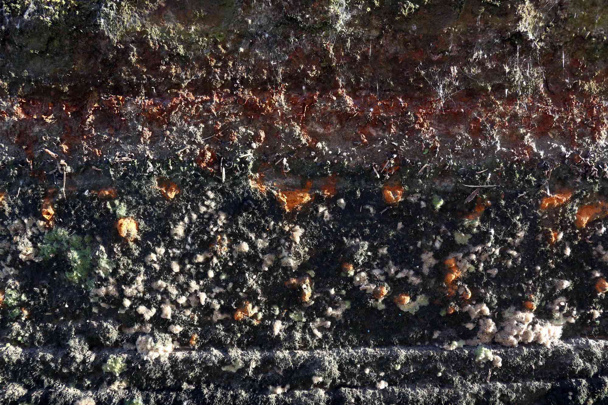 2013 06 18 Thea Saarbruecken 10