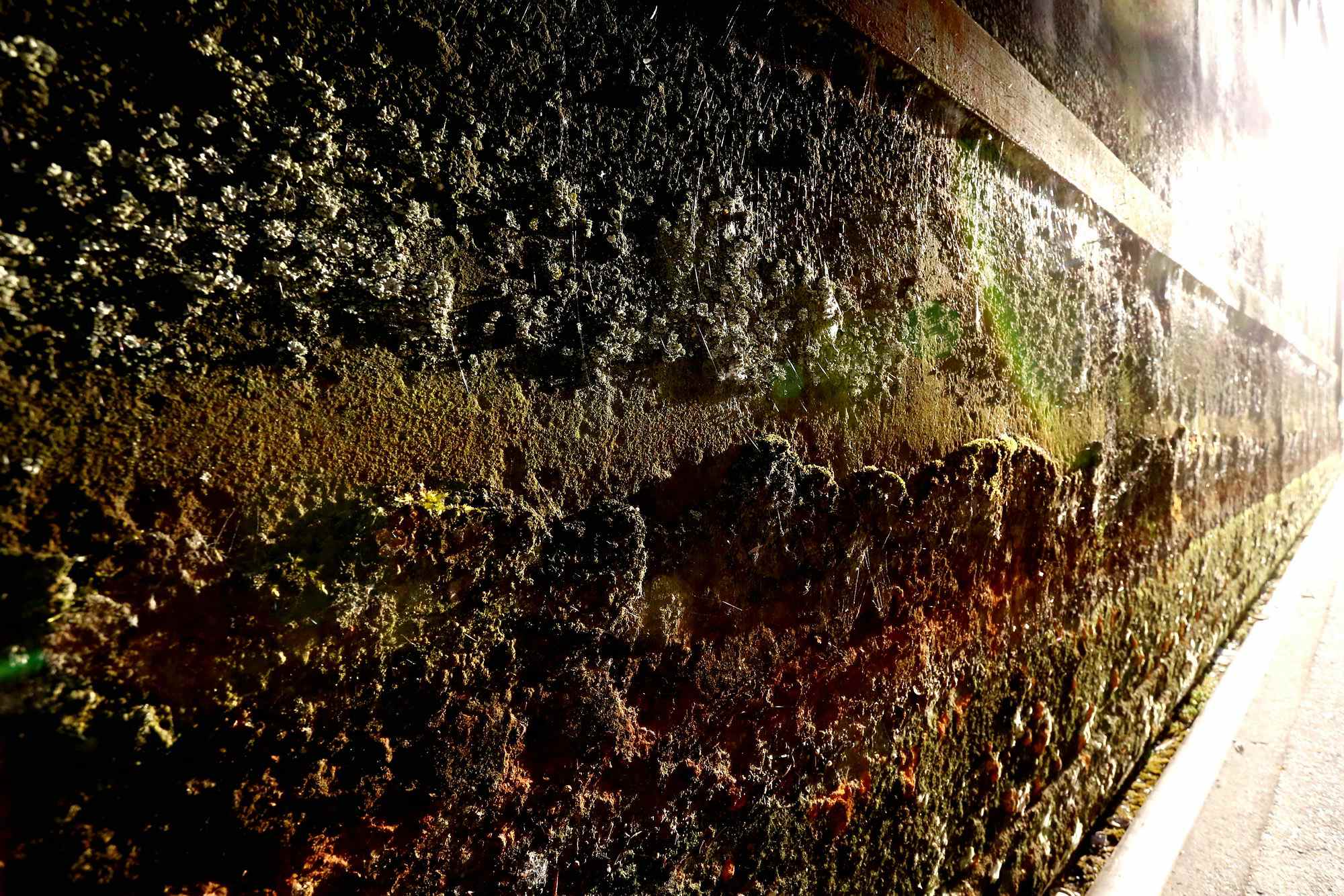 2013 06 18 Thea Saarbruecken 11