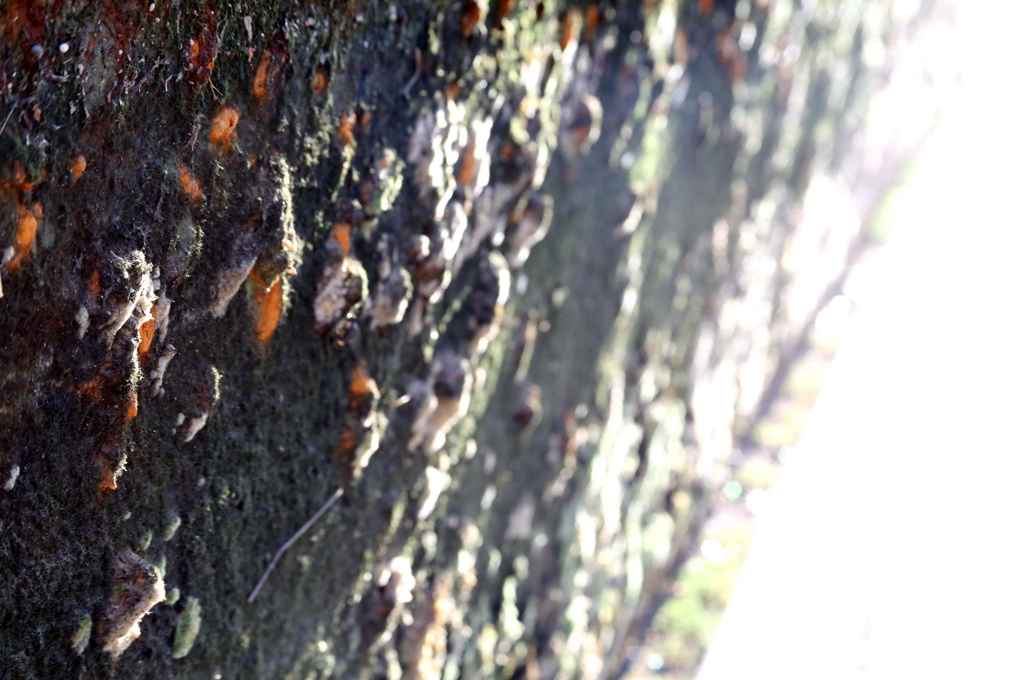 2013 06 18 Thea Saarbruecken 12