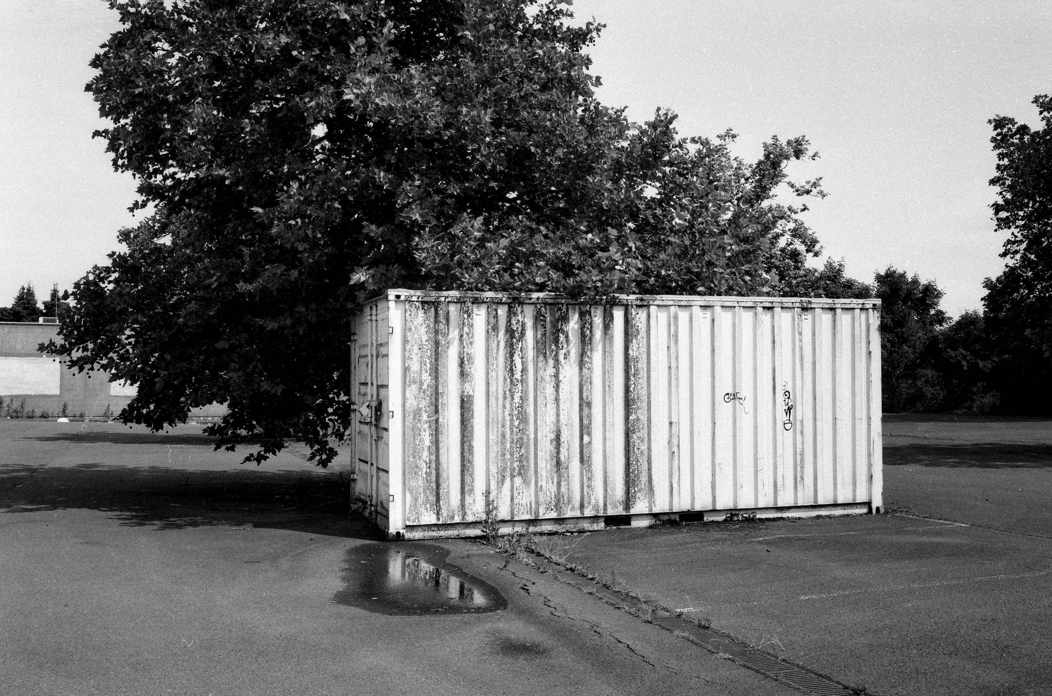 2025 06 10 0007 54580875273 o 2