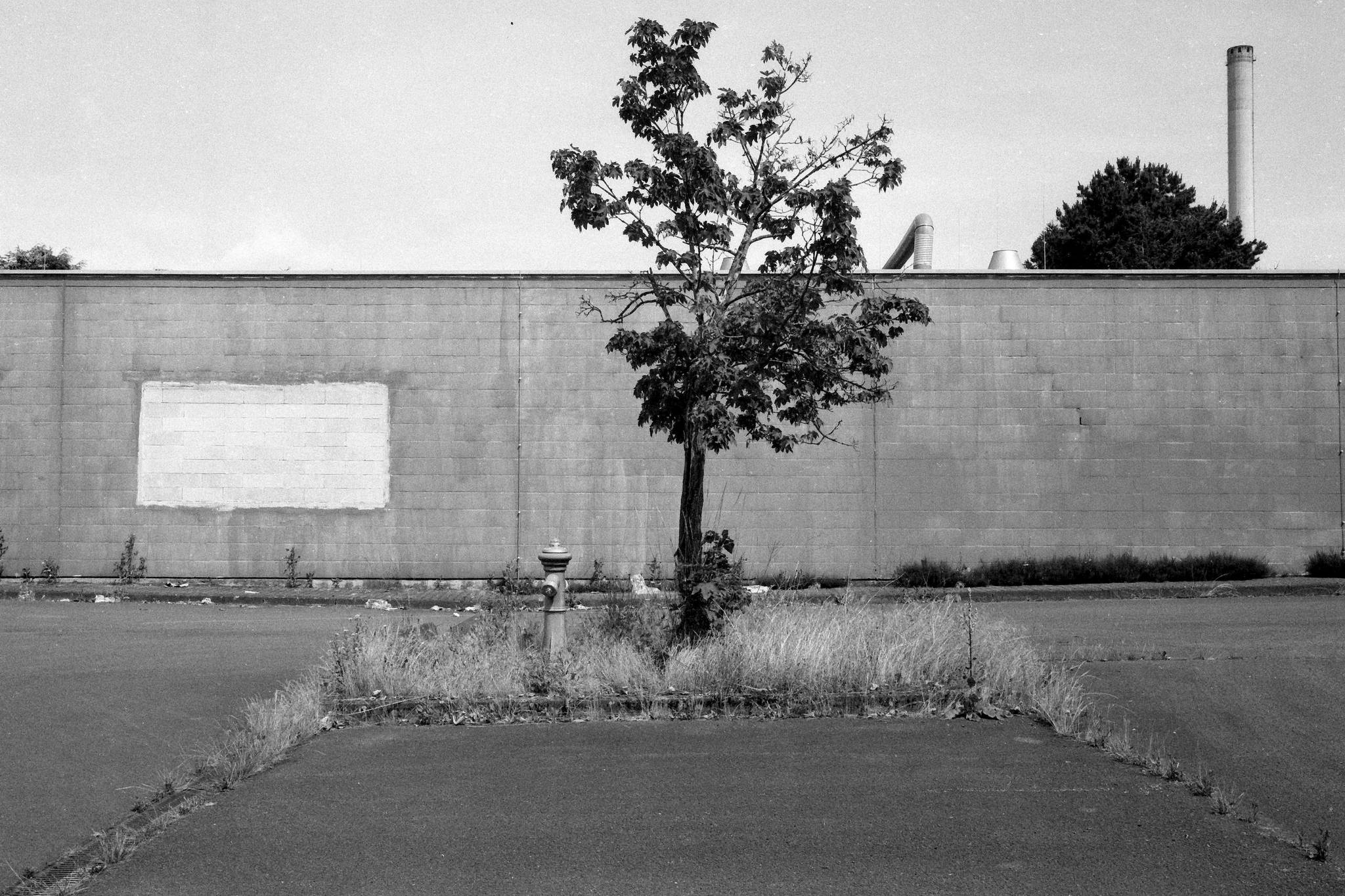 2025 06 10 0010 54580981540 o 2