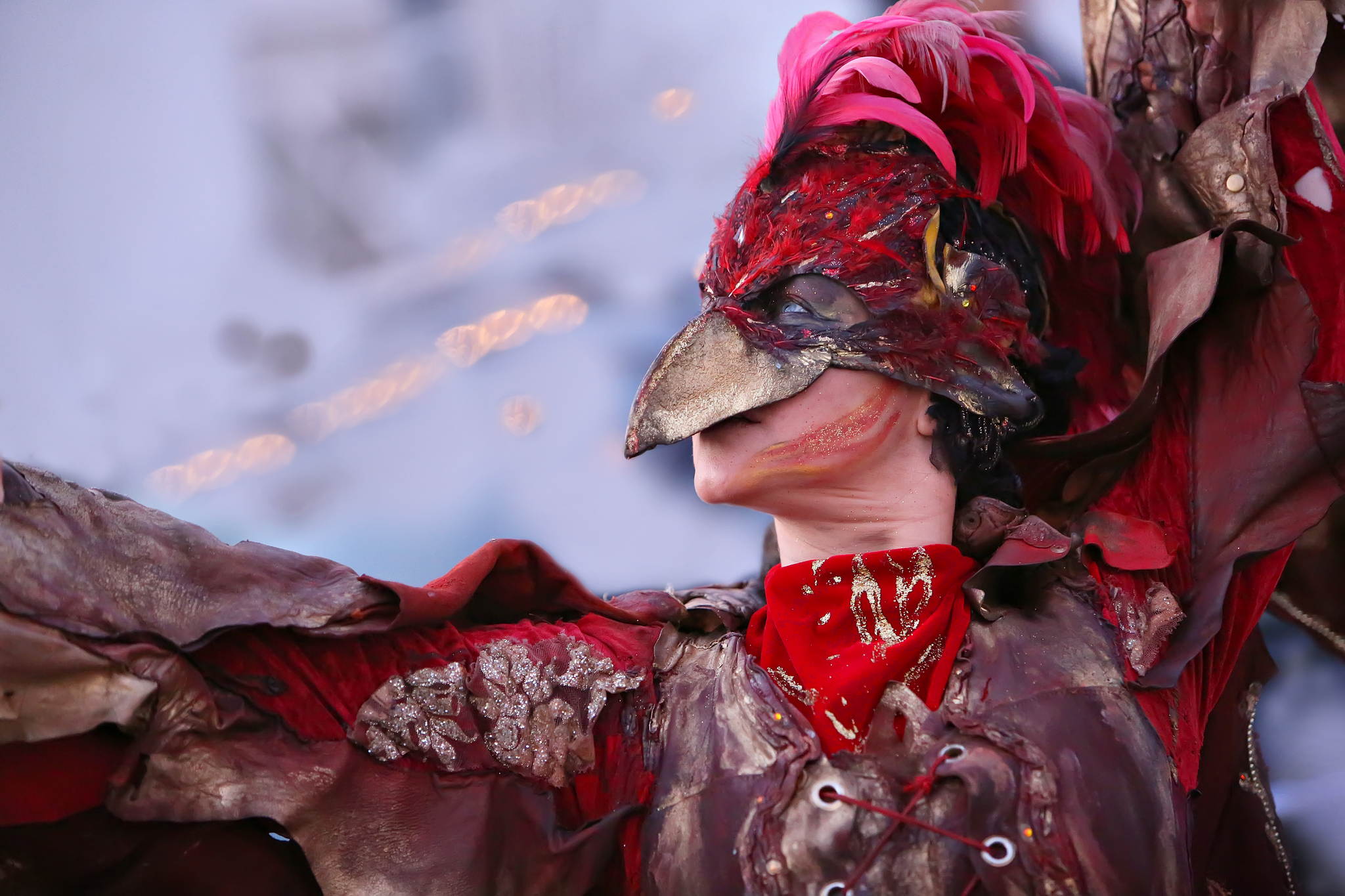 2013 12 09 feuervogel 011 11326772655 o