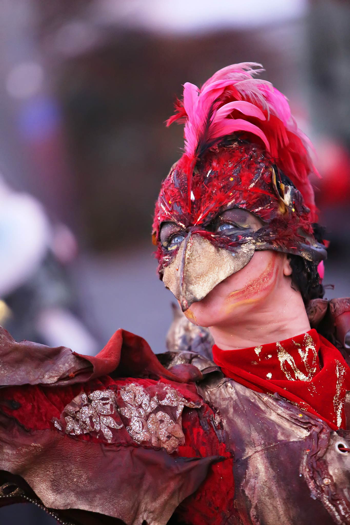 2013 12 09 feuervogel 013 11304899873 o