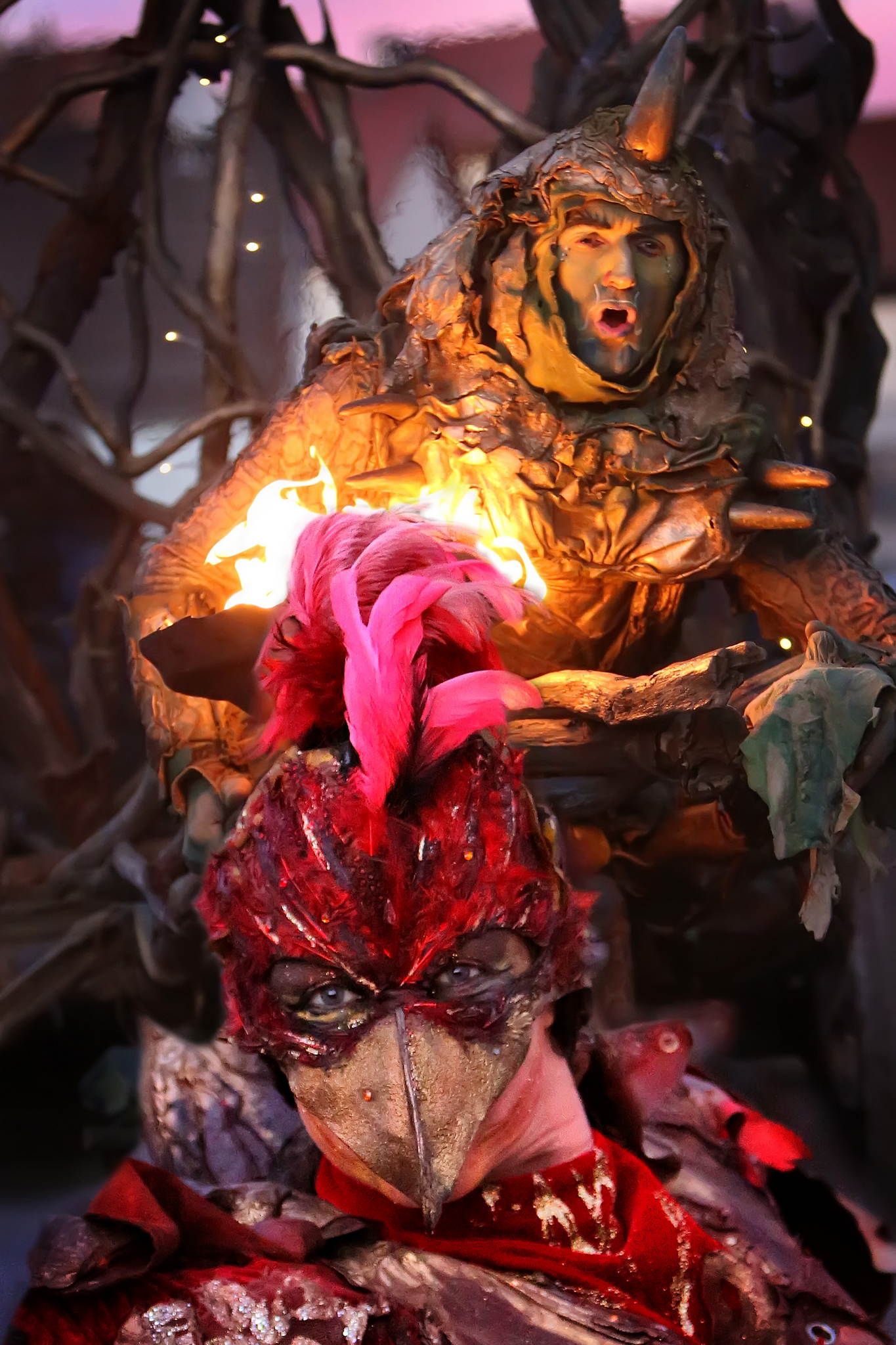 2013 12 09 feuervogel 018 11326912083 o