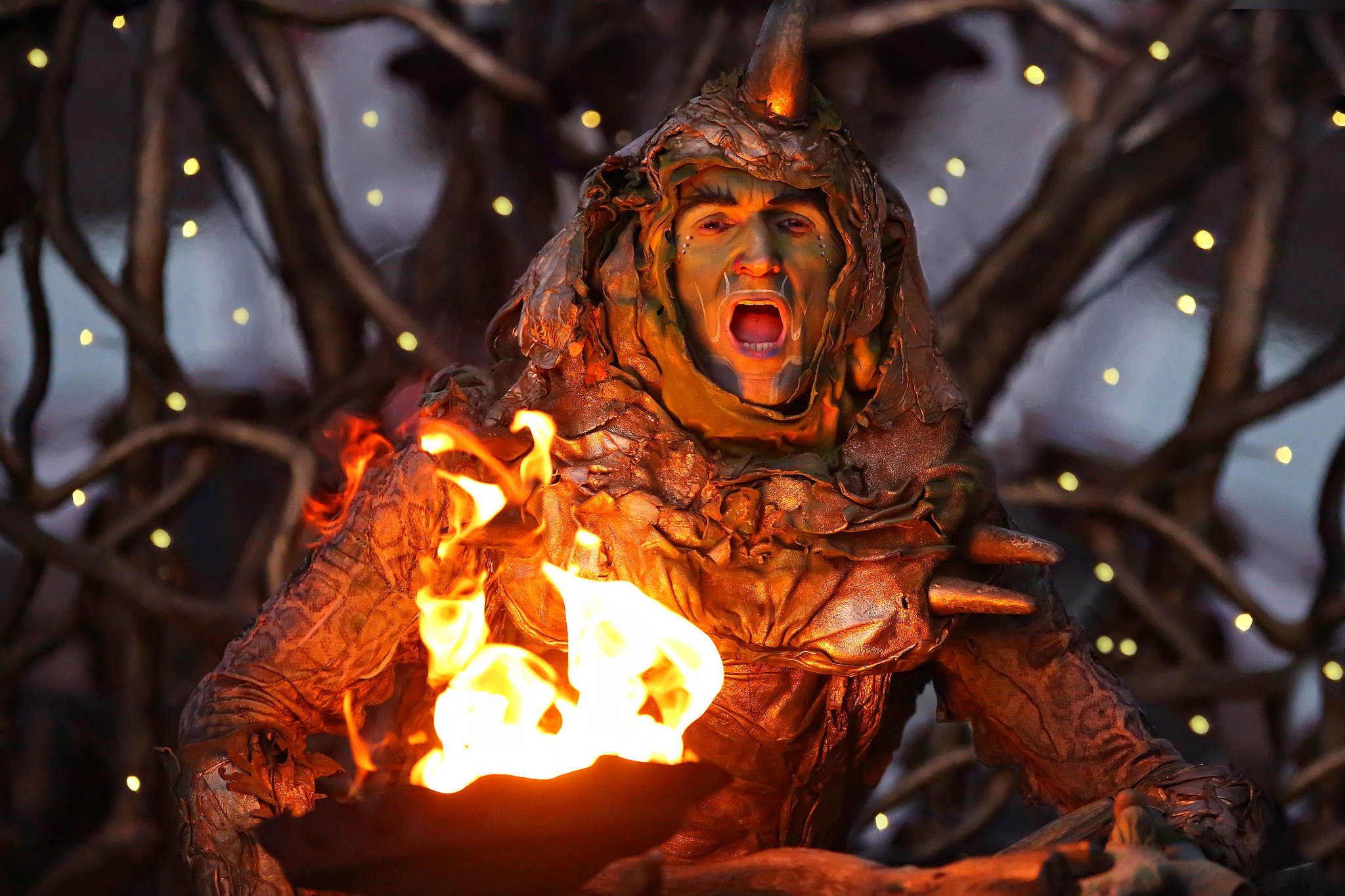 2013 12 09 feuervogel 026 11326747435 o