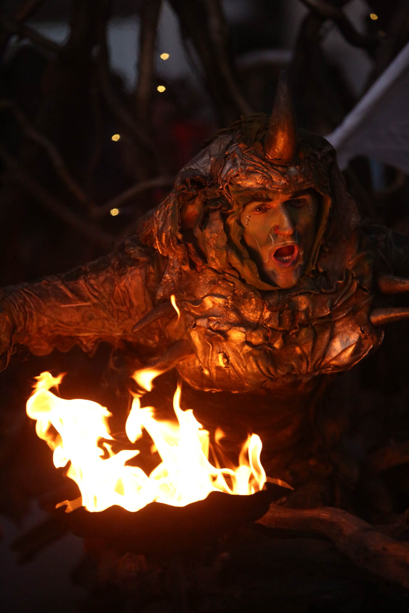 2013 12 09 feuervogel 030 11326805226 o