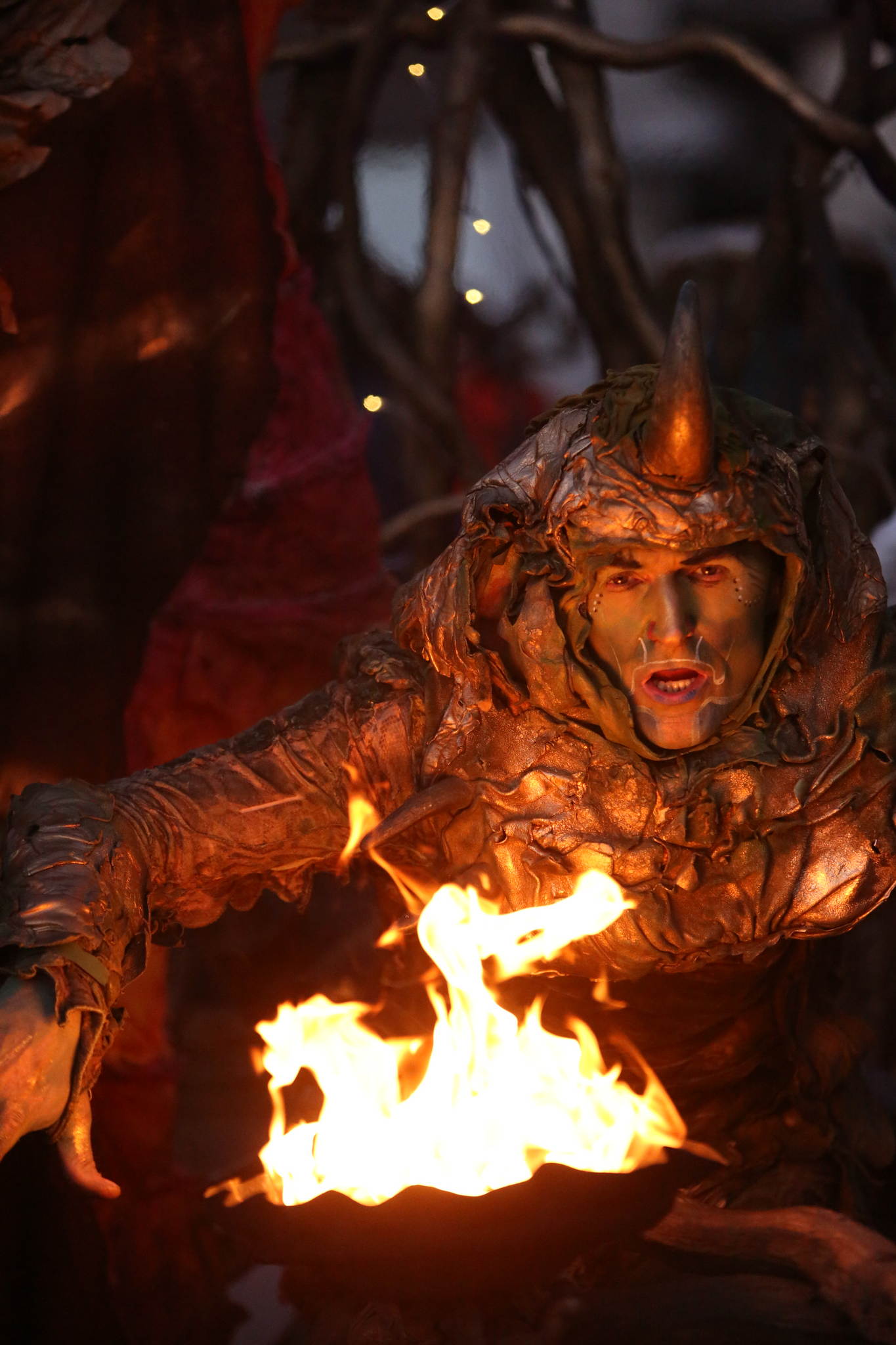 2013 12 09 feuervogel 032 11326883733 o