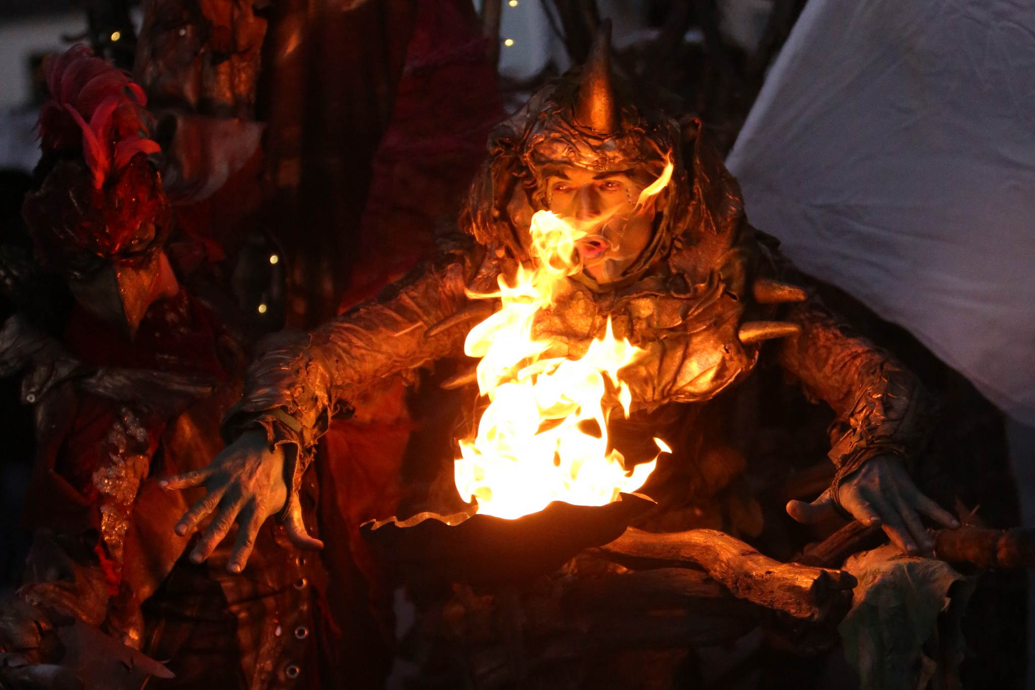 2013 12 09 feuervogel 036 11326783366 o