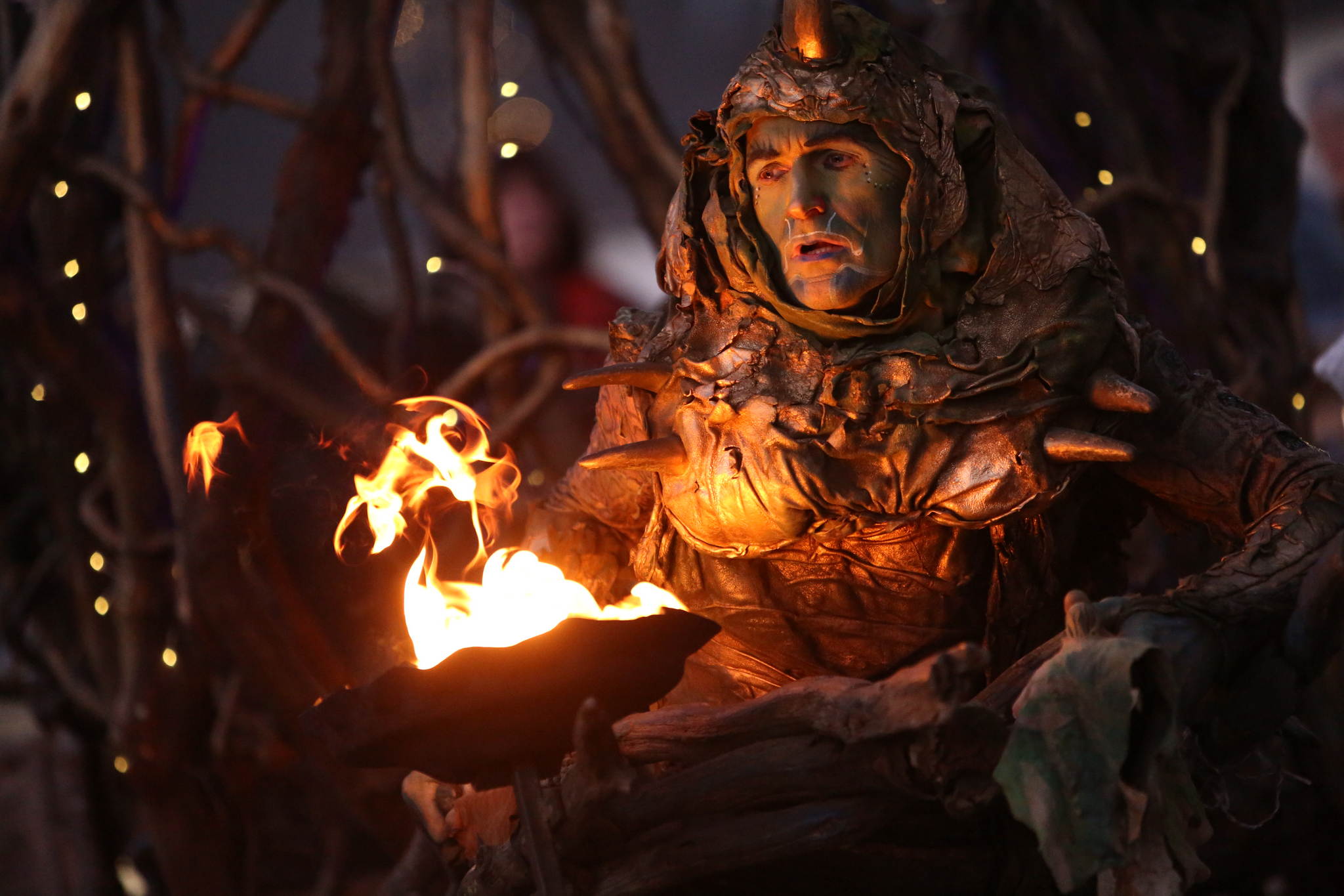 2013 12 09 feuervogel 038 11326779796 o