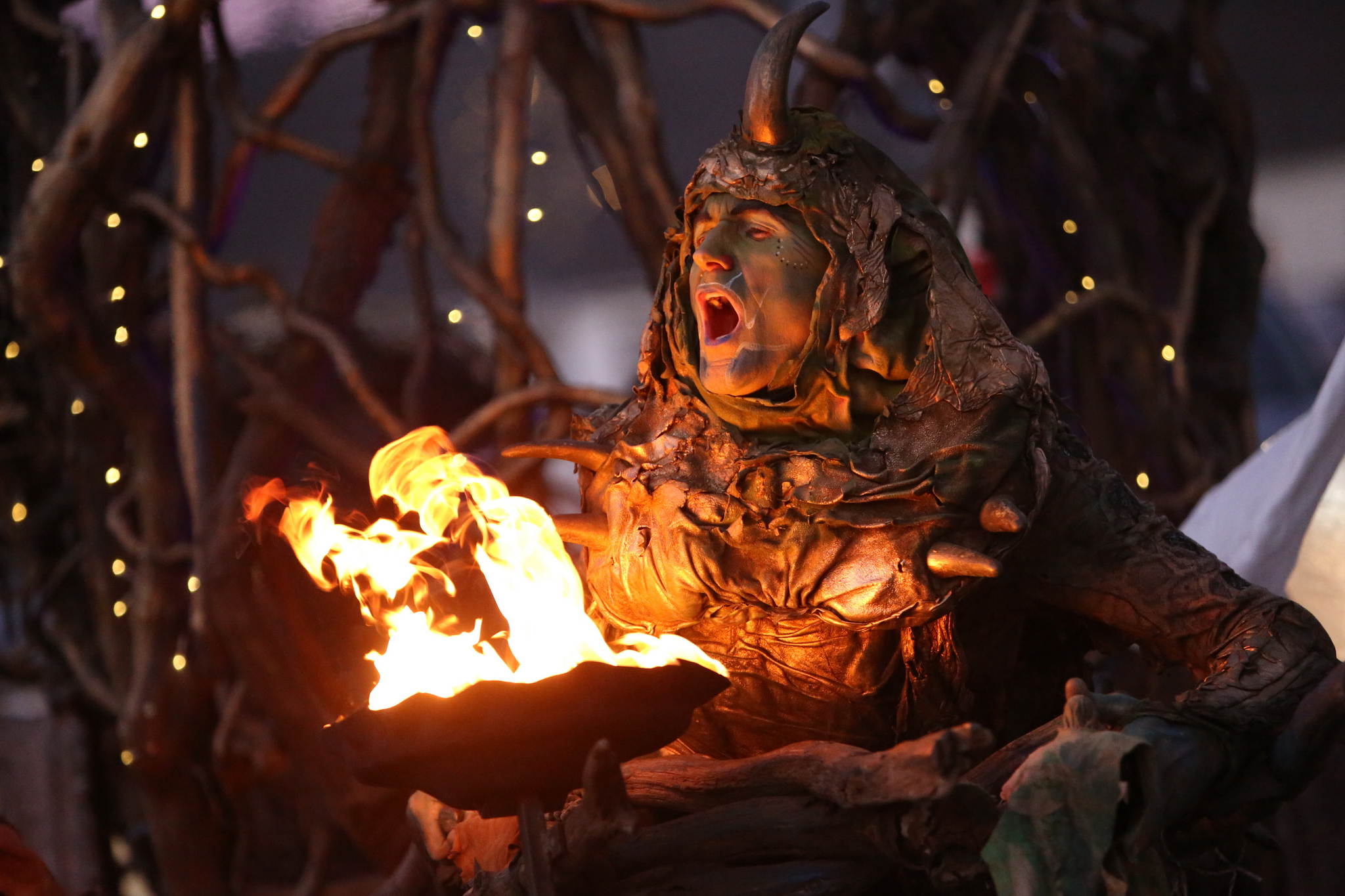 2013 12 09 feuervogel 043 11326708325 o