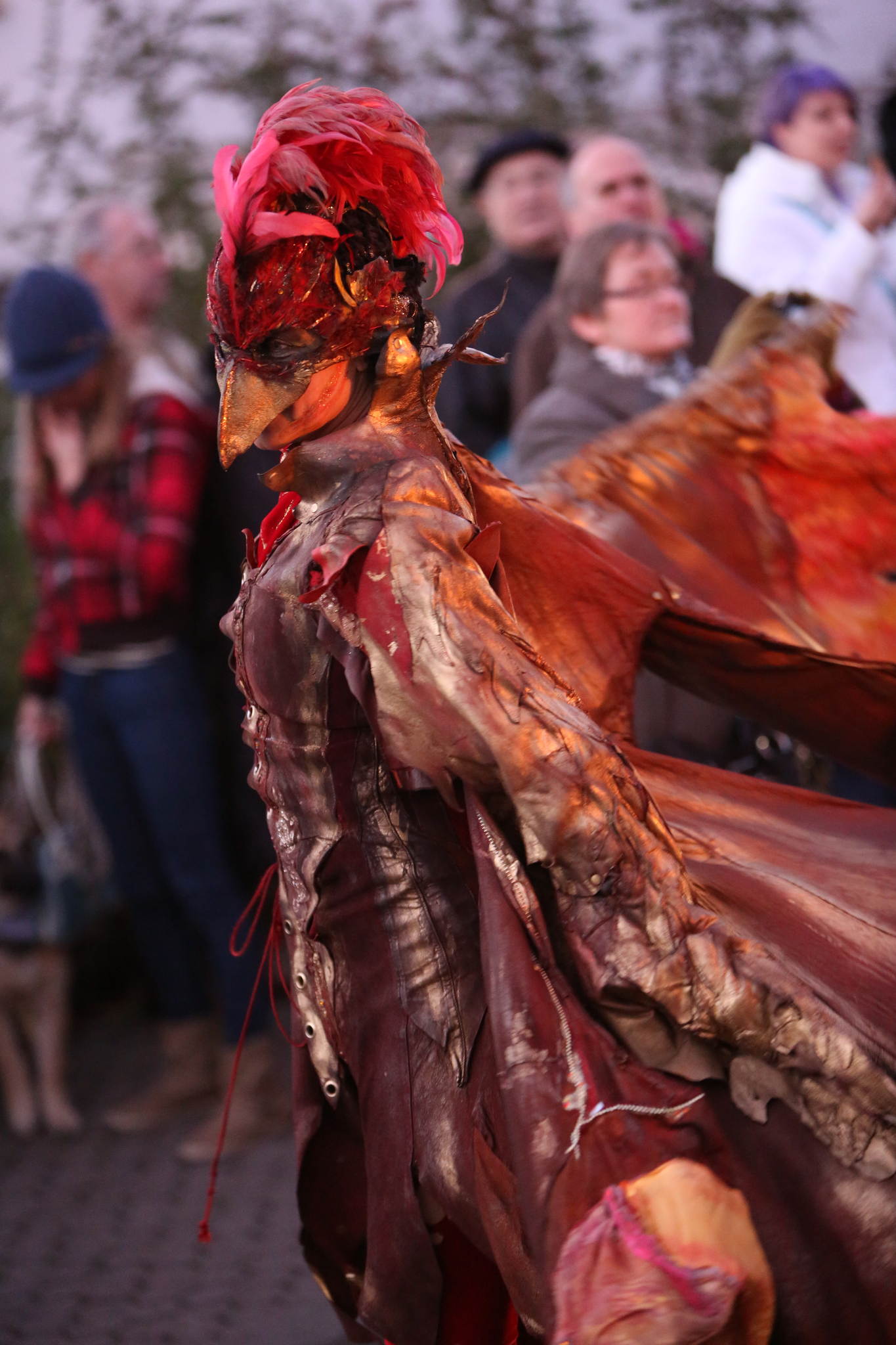 2013 12 09 feuervogel 044 11326702915 o