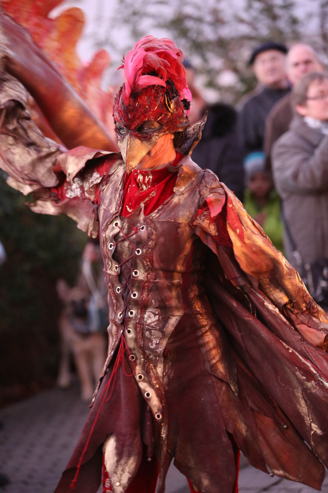 2013 12 09 feuervogel 045 11326757776 o