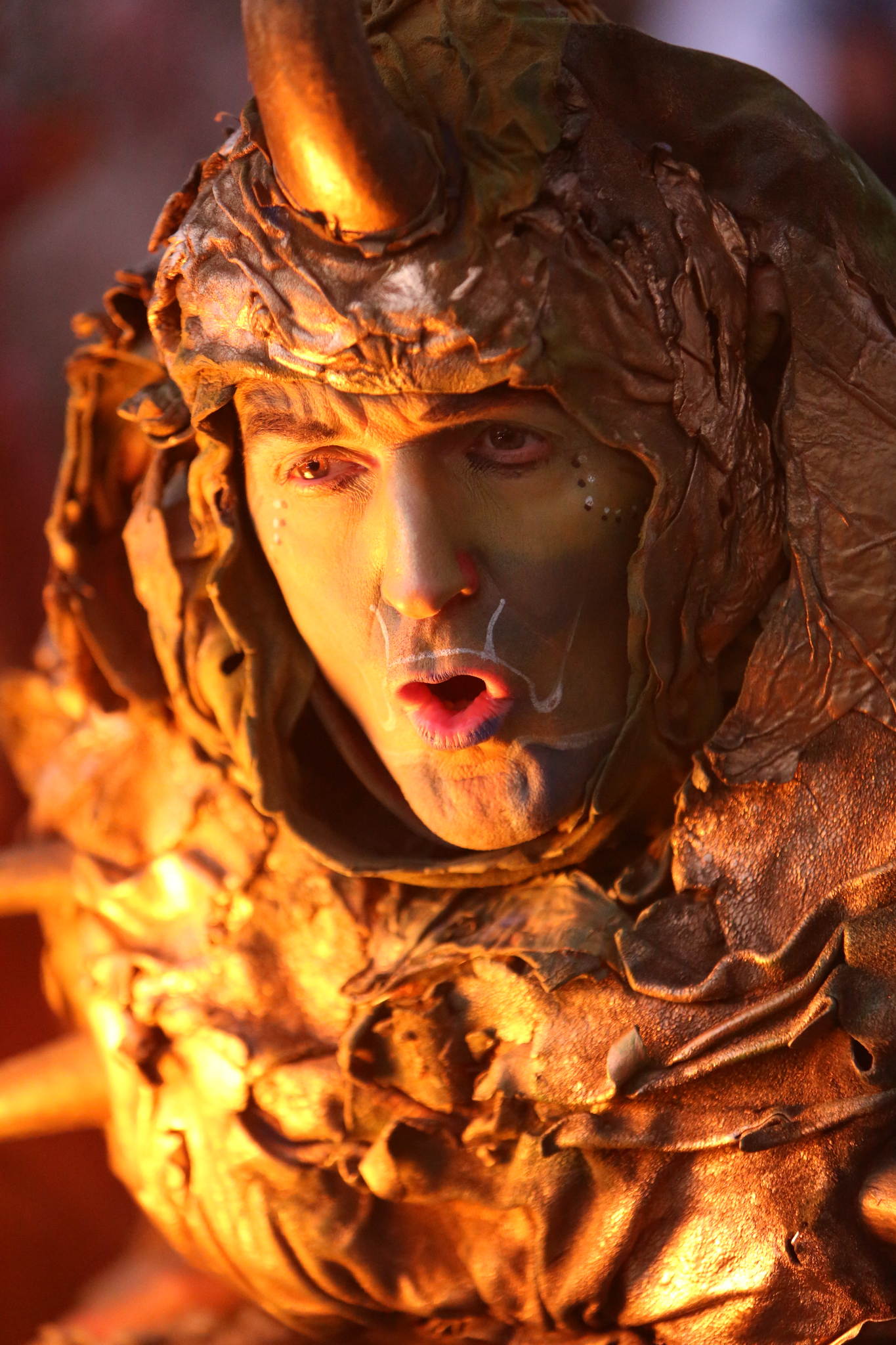 2013 12 09 feuervogel 049 11326836463 o