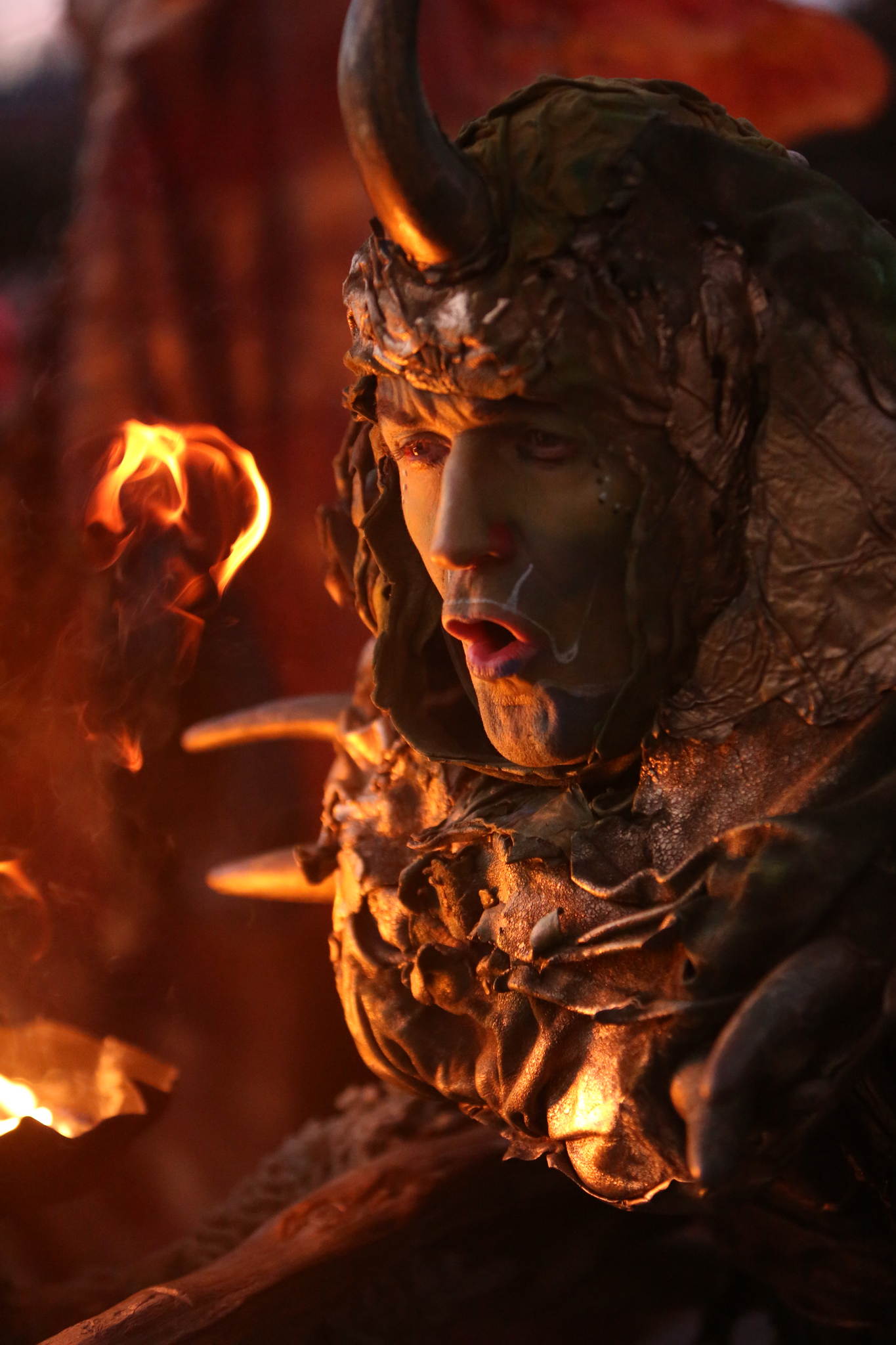 2013 12 09 feuervogel 052 11326829573 o