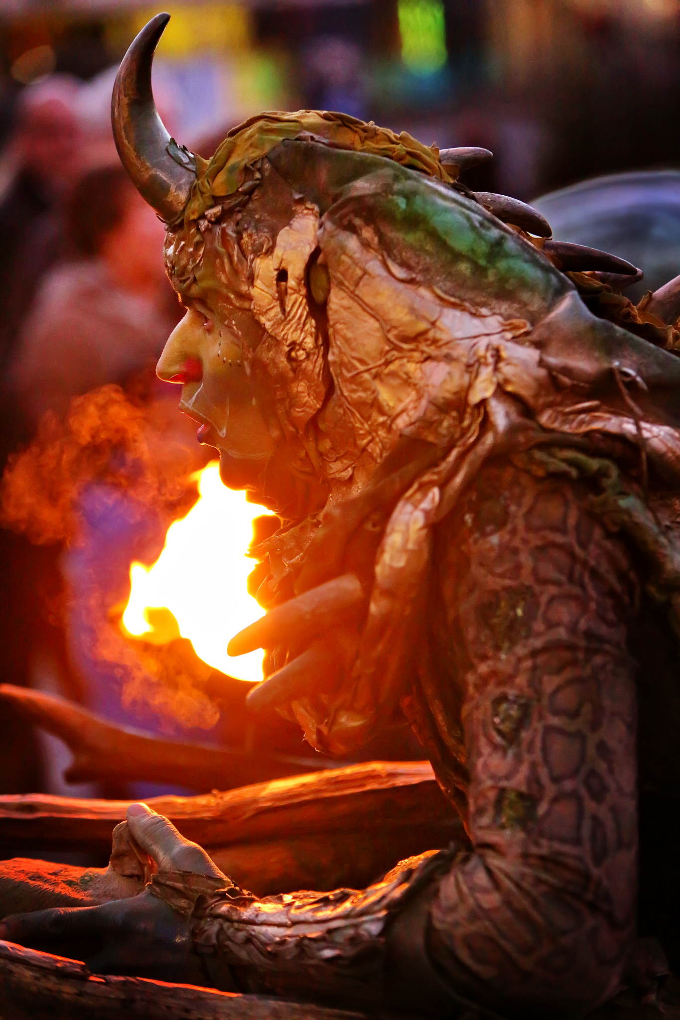 2013 12 09 feuervogel 053 11326823723 o