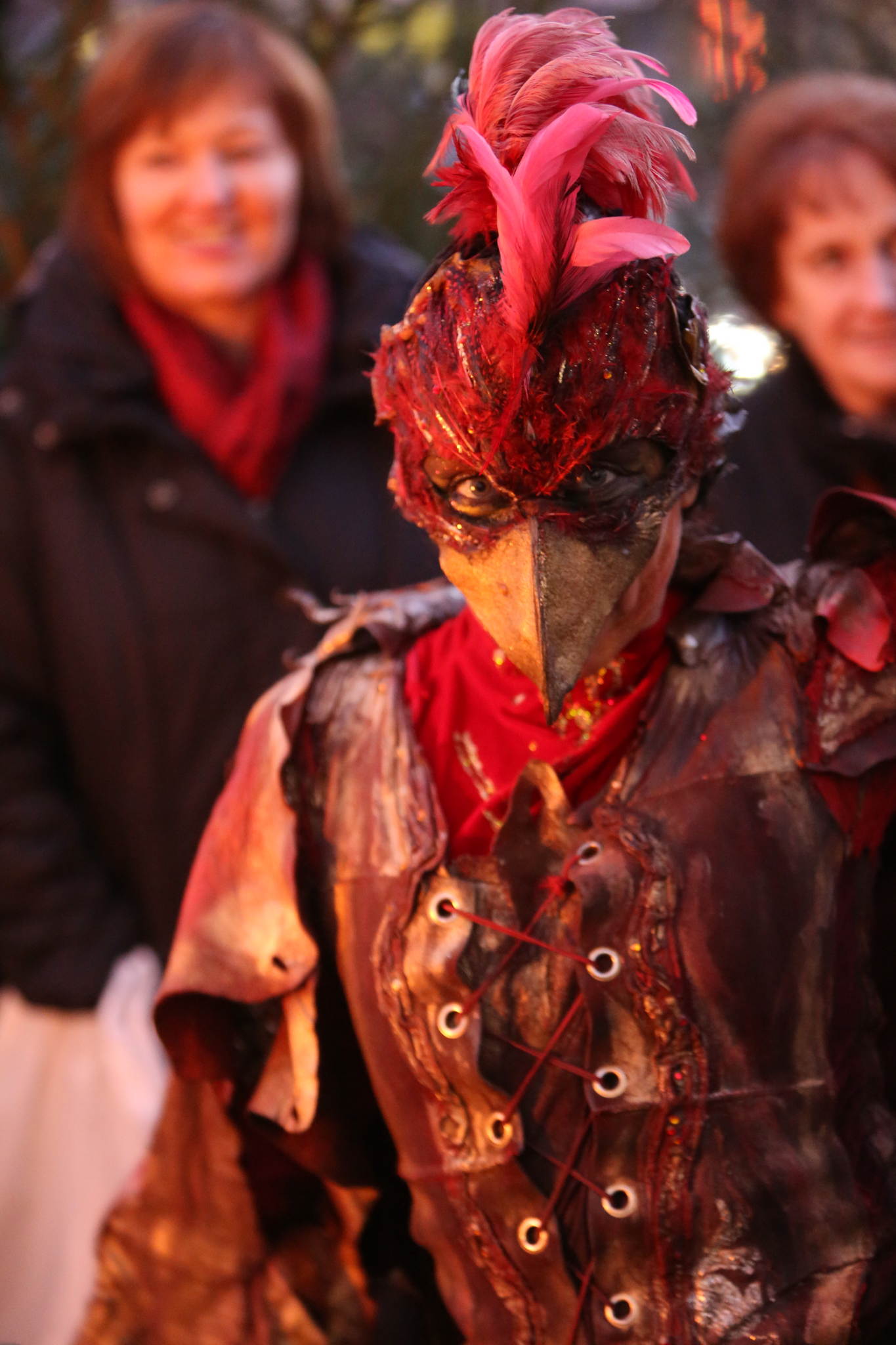 2013 12 09 feuervogel 057 11326731246 o