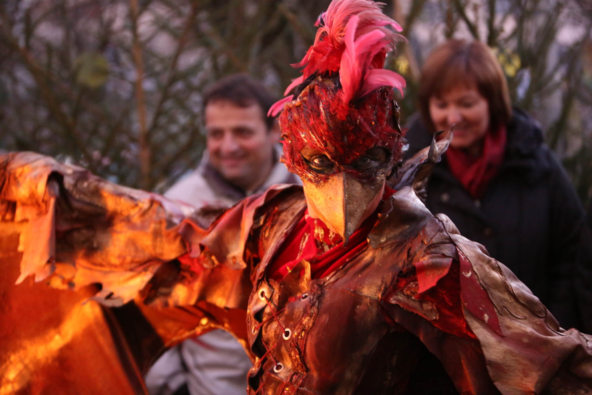 2013 12 09 feuervogel 059 11326662355 o