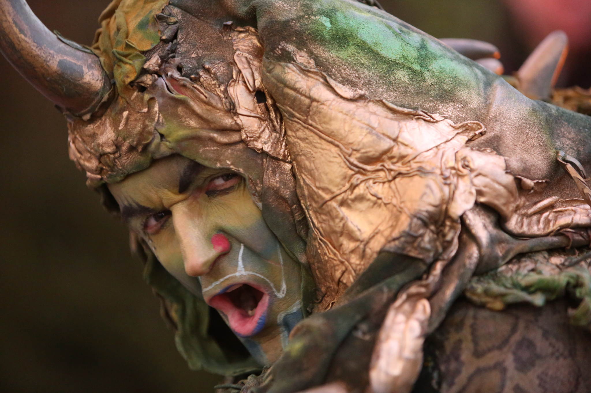 2013 12 09 feuervogel 062 11326721256 o