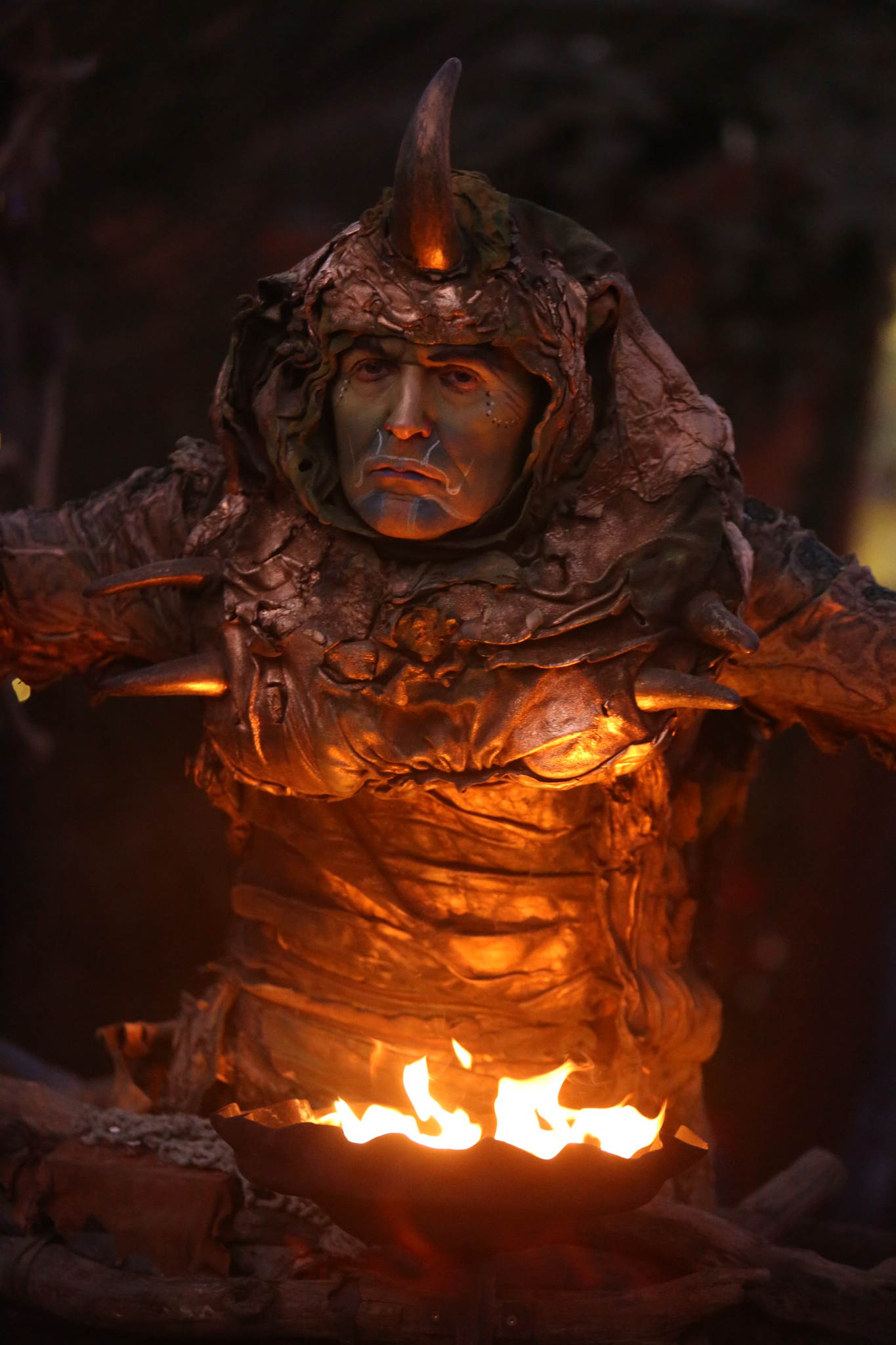 2013 12 09 feuervogel 104 11326632115 o