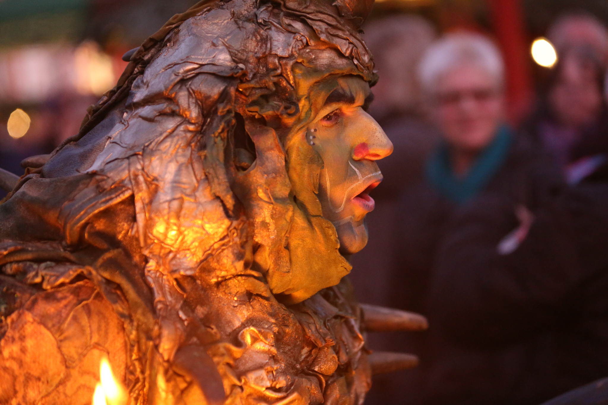 2013 12 09 feuervogel 109 11326625455 o