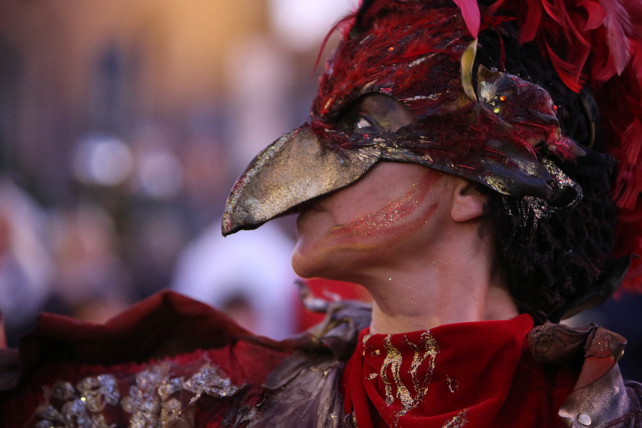 2013 12 09 feuervogel 143 11326661956 o