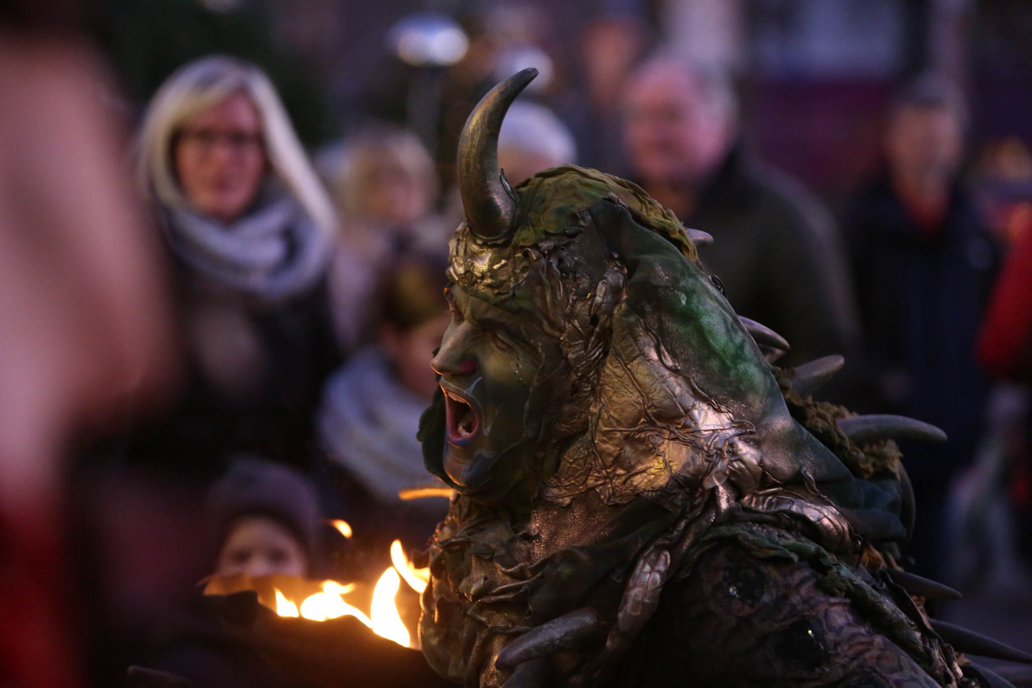 2013 12 09 feuervogel 147 11326588735 o