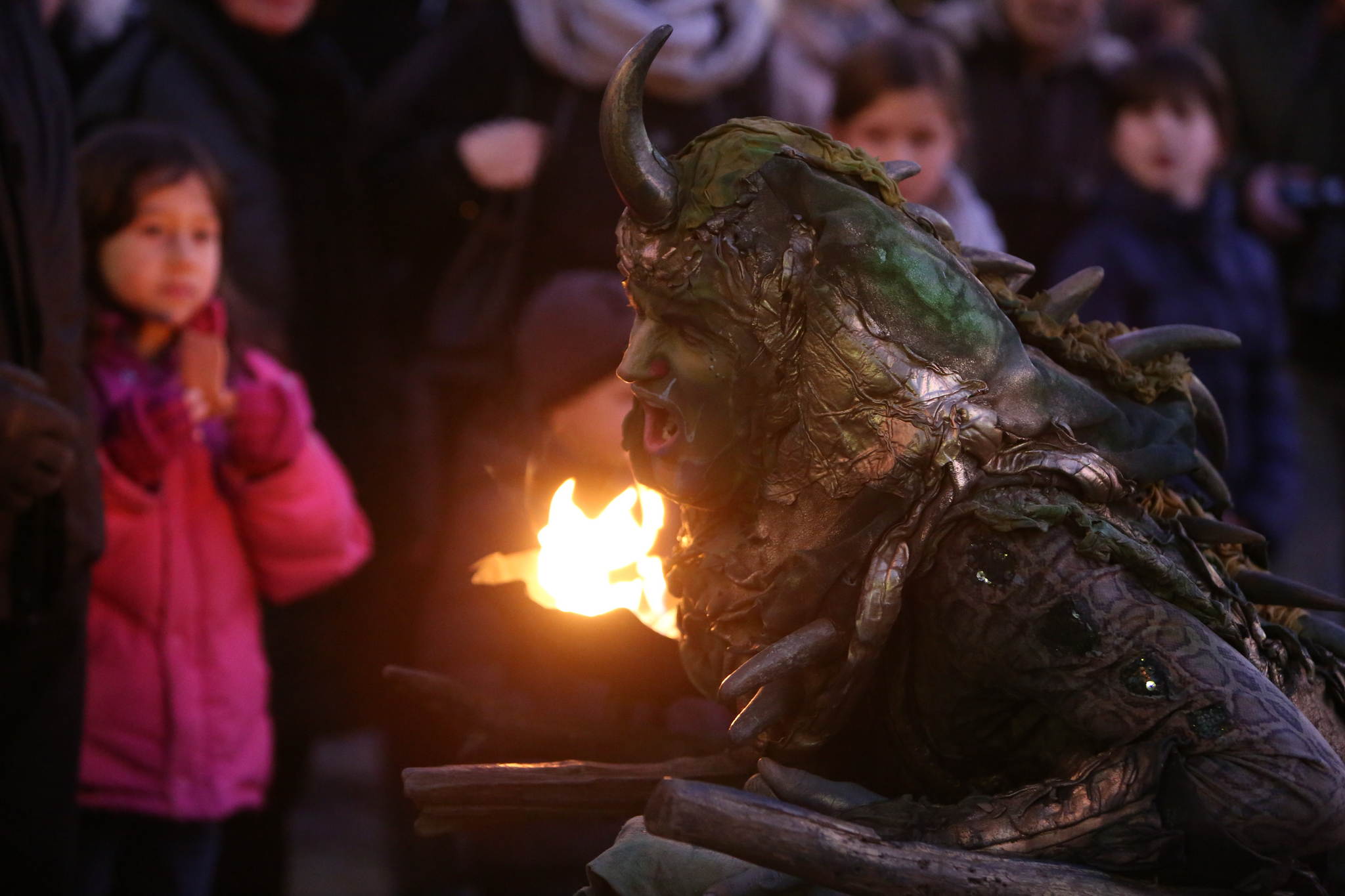 2013 12 09 feuervogel 149 11326649526 o