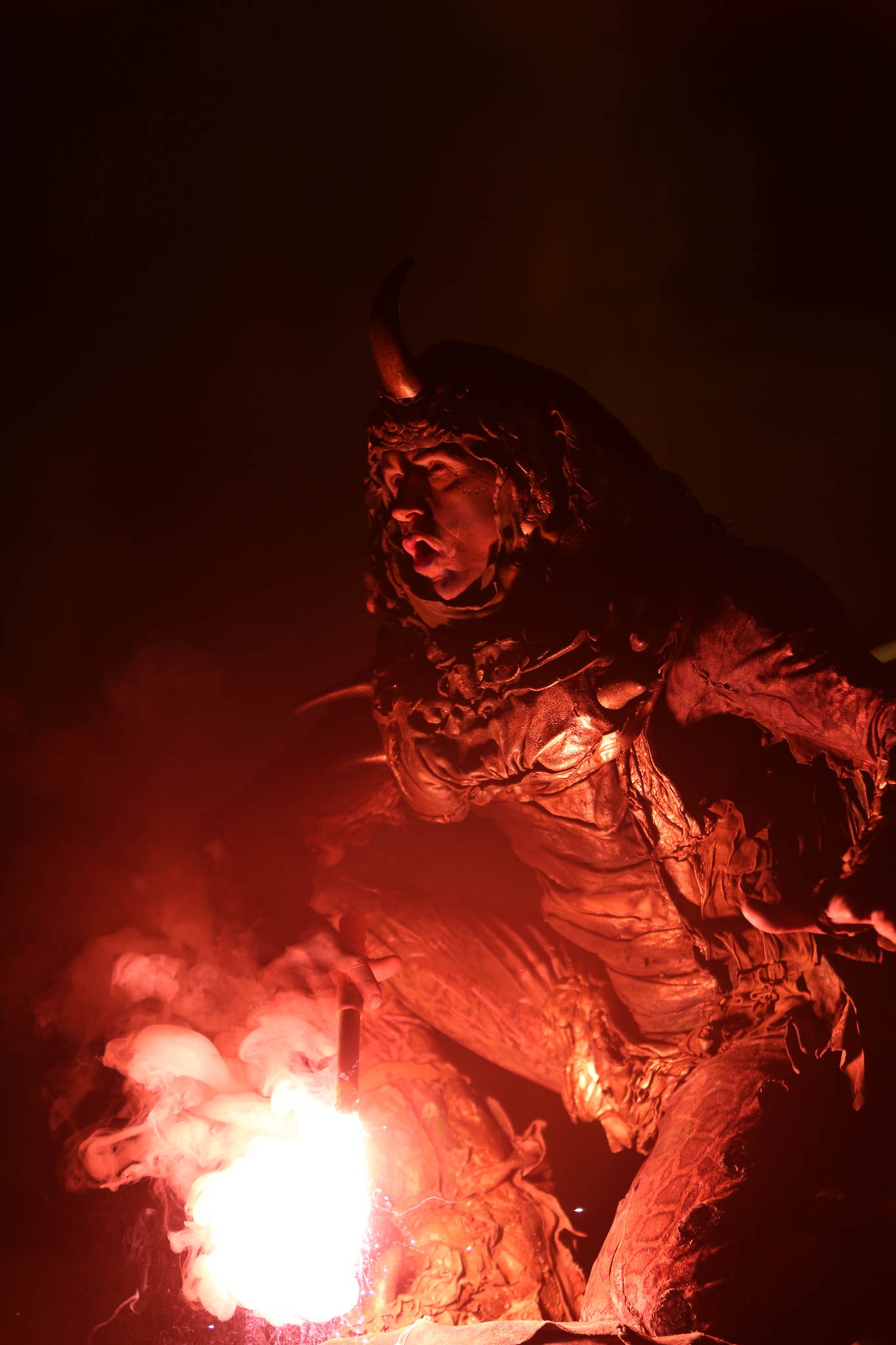 2013 12 09 feuervogel 229 11326570466 o