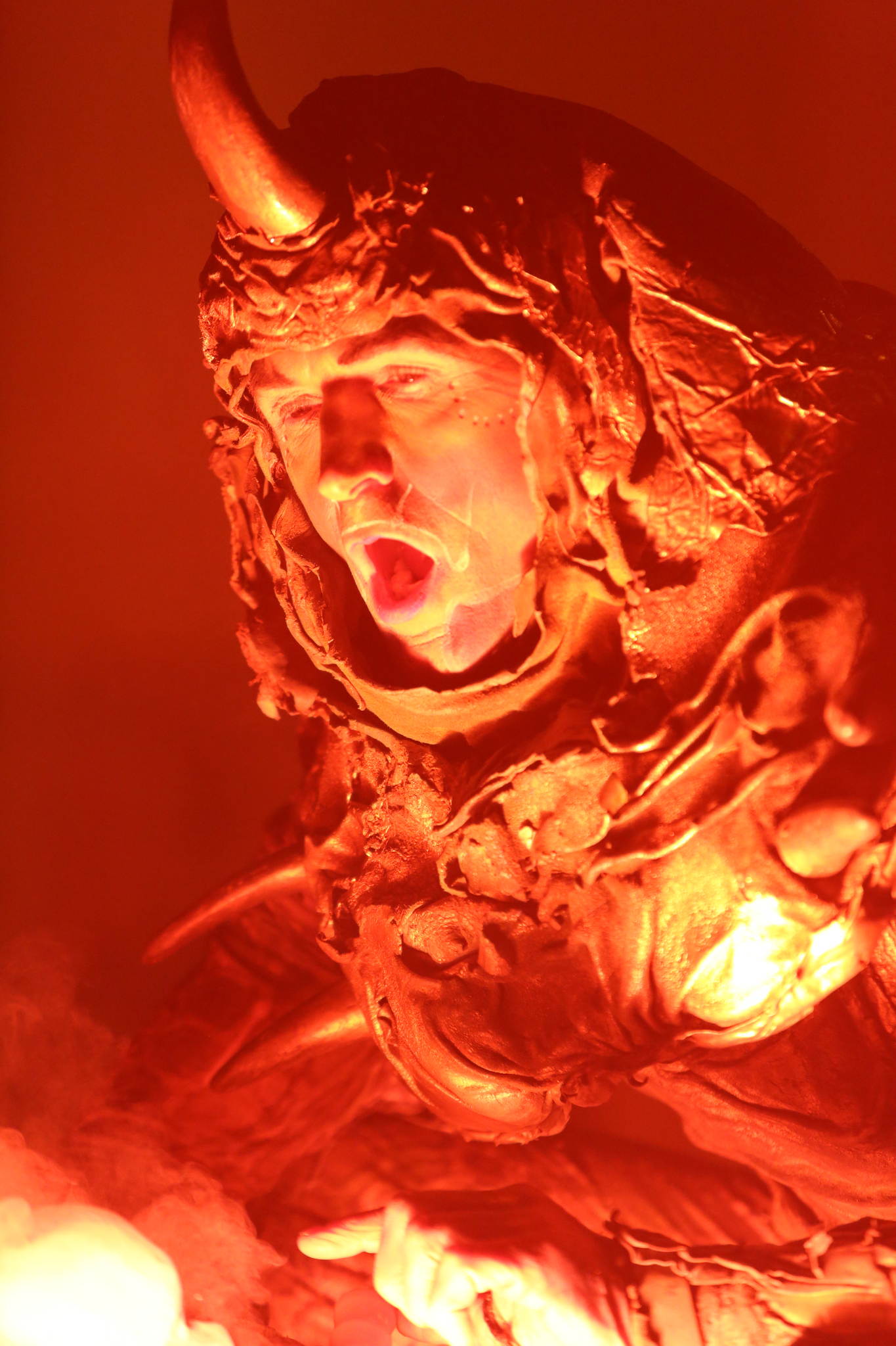 2013 12 09 feuervogel 233 11326584334 o