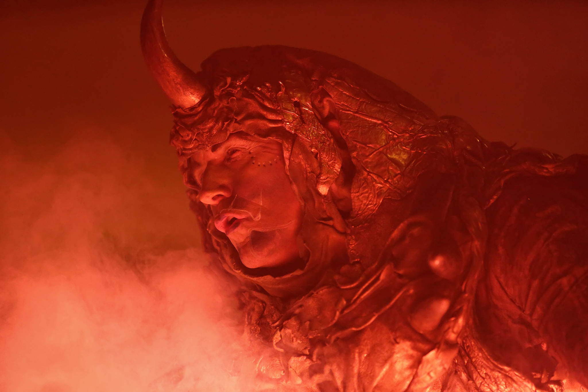 2013 12 09 feuervogel 249 11326619583 o