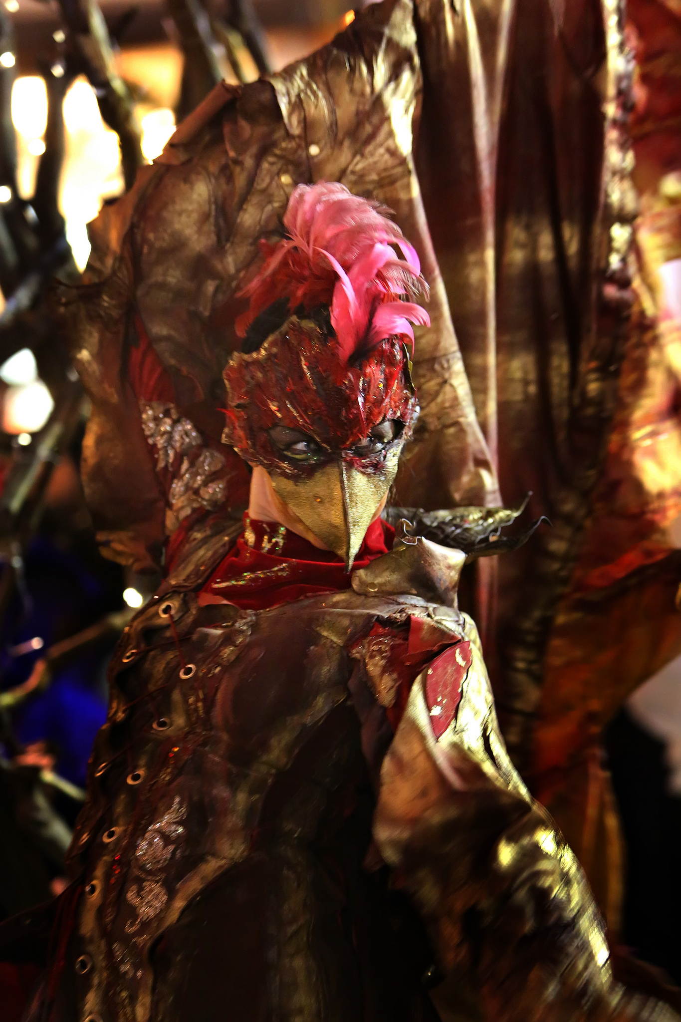 2013 12 09 feuervogel 335 11326405655 o