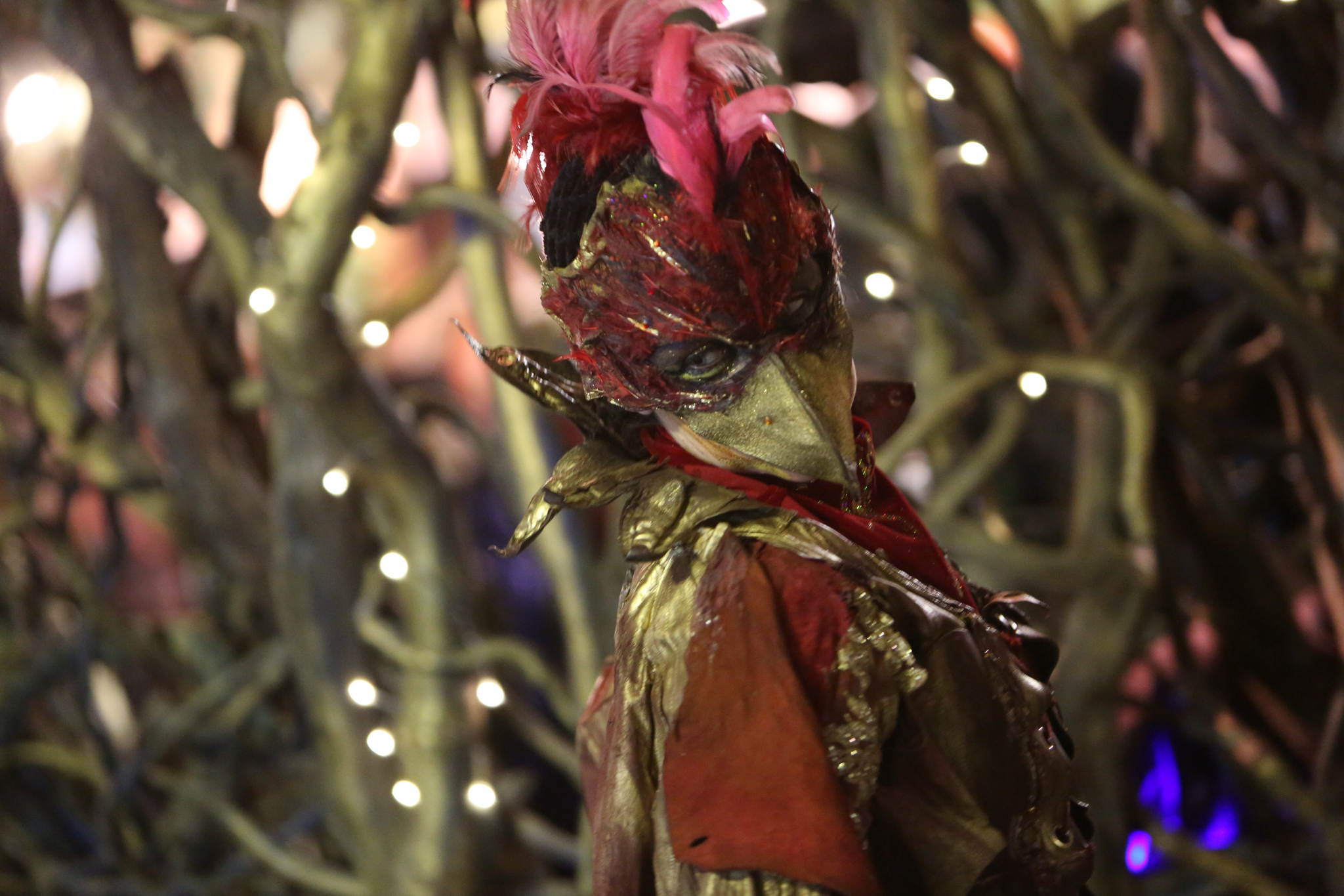 2013 12 09 feuervogel 384 11326444794 o