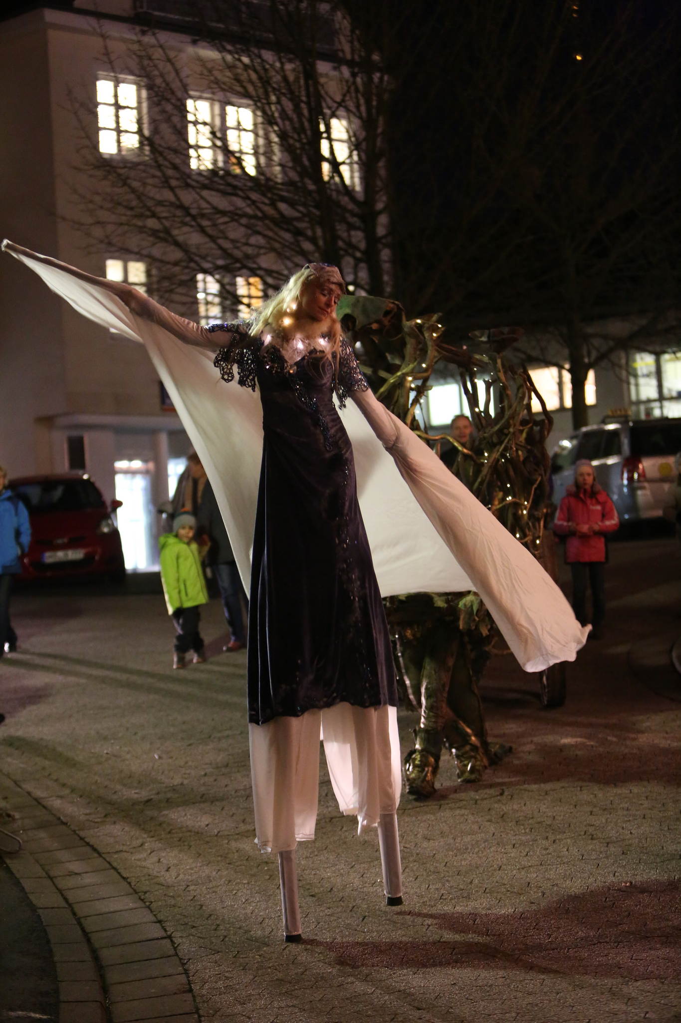 2013 12 09 feuervogel 398 11326496723 o