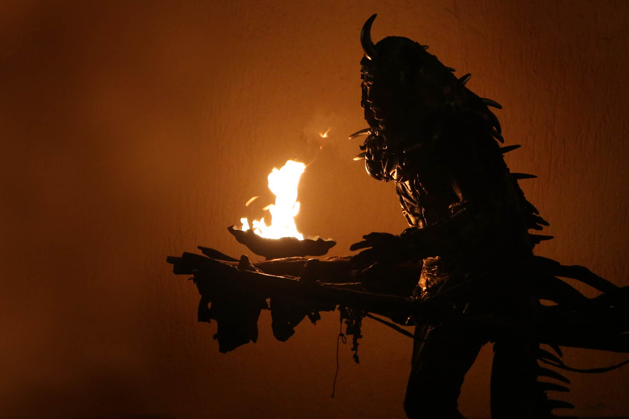 2013 12 09 feuervogel 414 11326491823 o