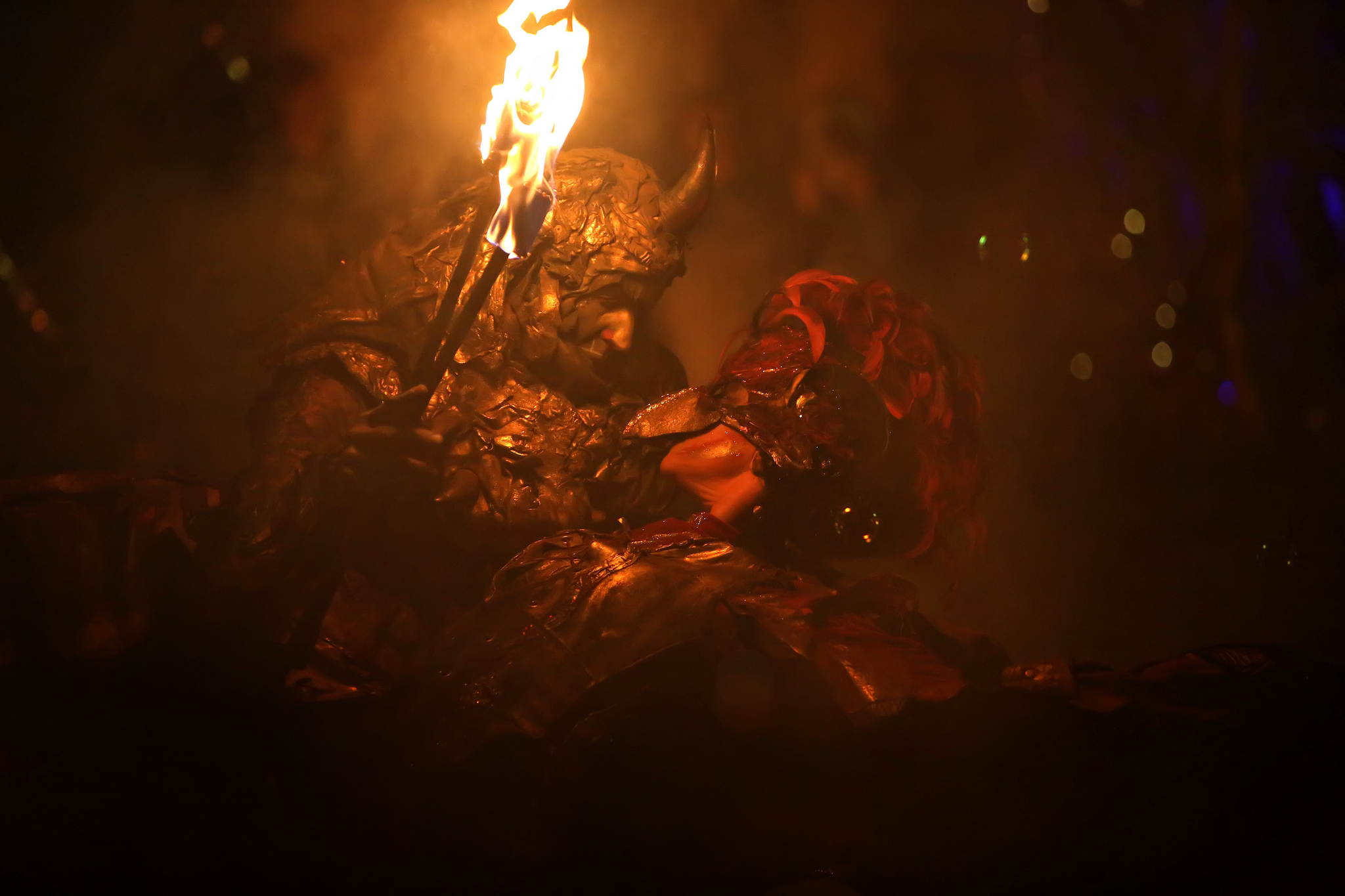 2013 12 09 feuervogel 440 11326331905 o