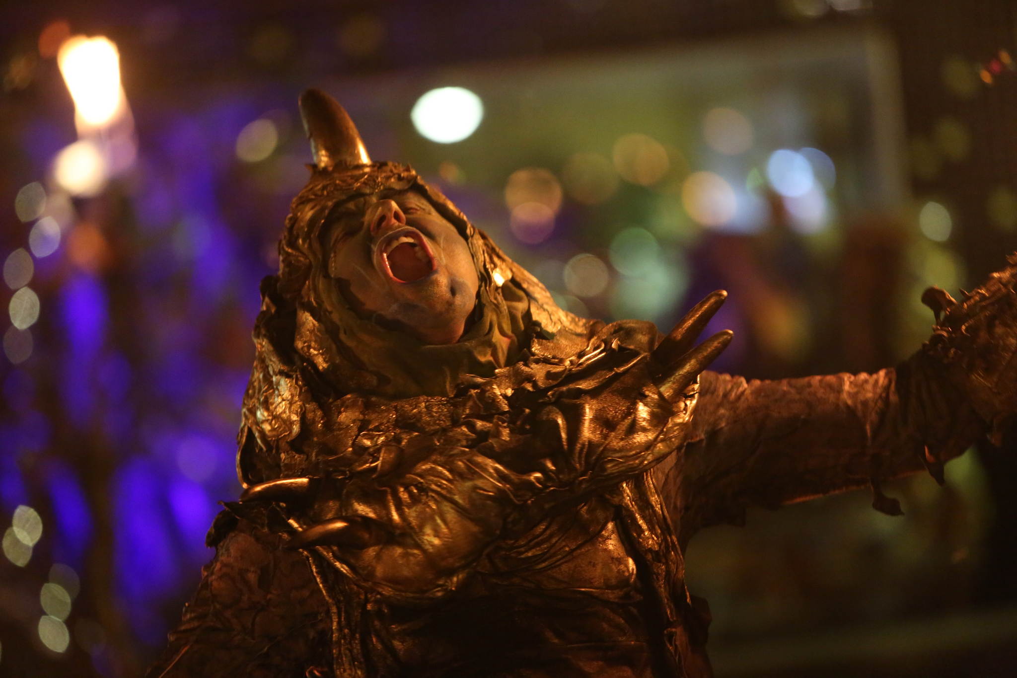 2013 12 09 feuervogel 708 11326078414 o