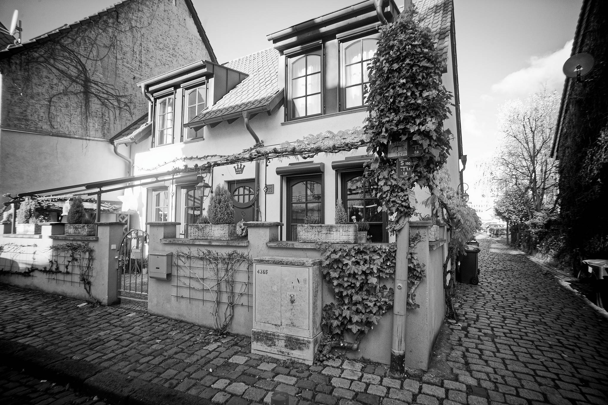 04 m10 3059 dxo 51703937497 o