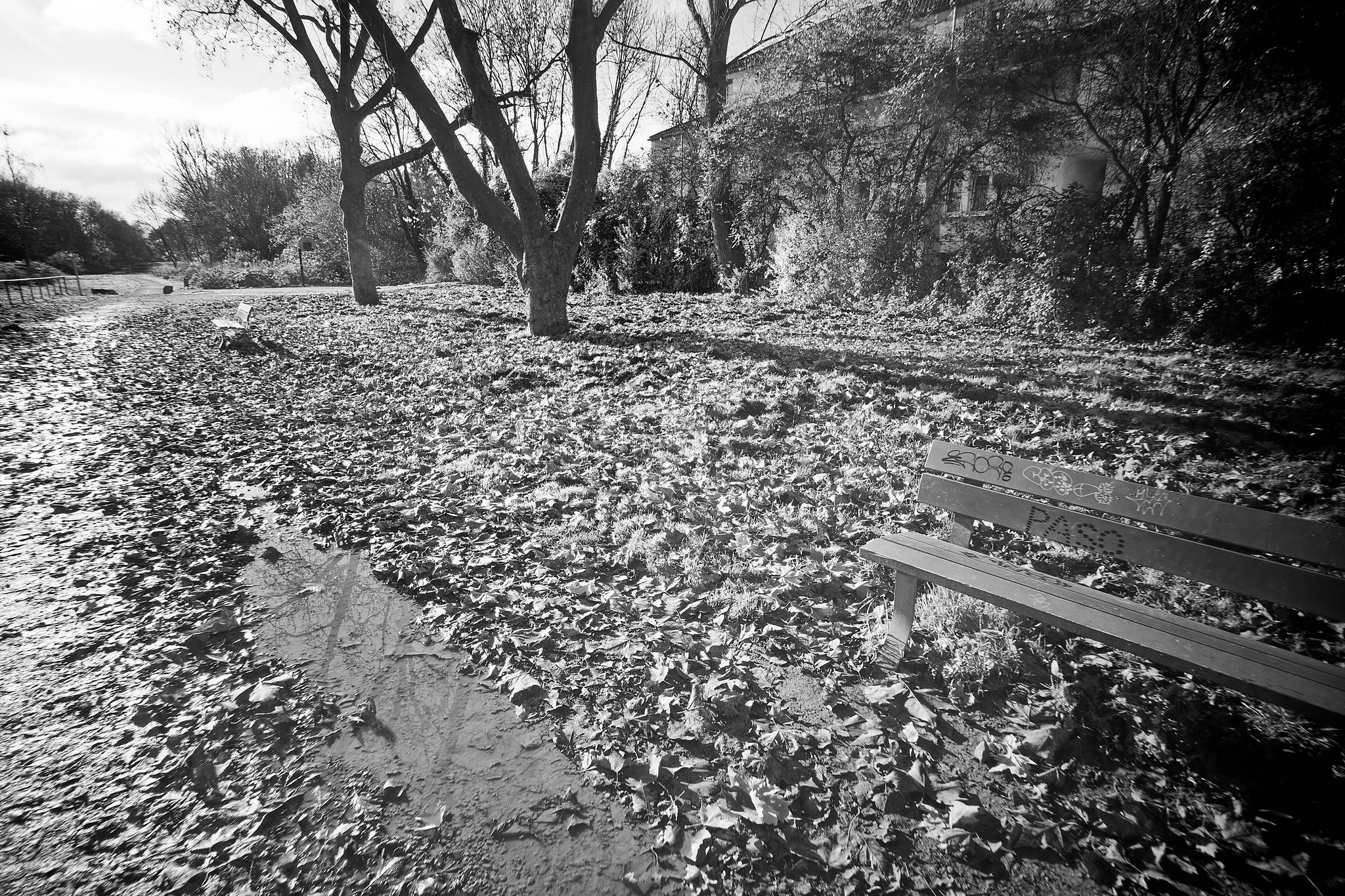 17 m10 3036 dxo 51705624205 o