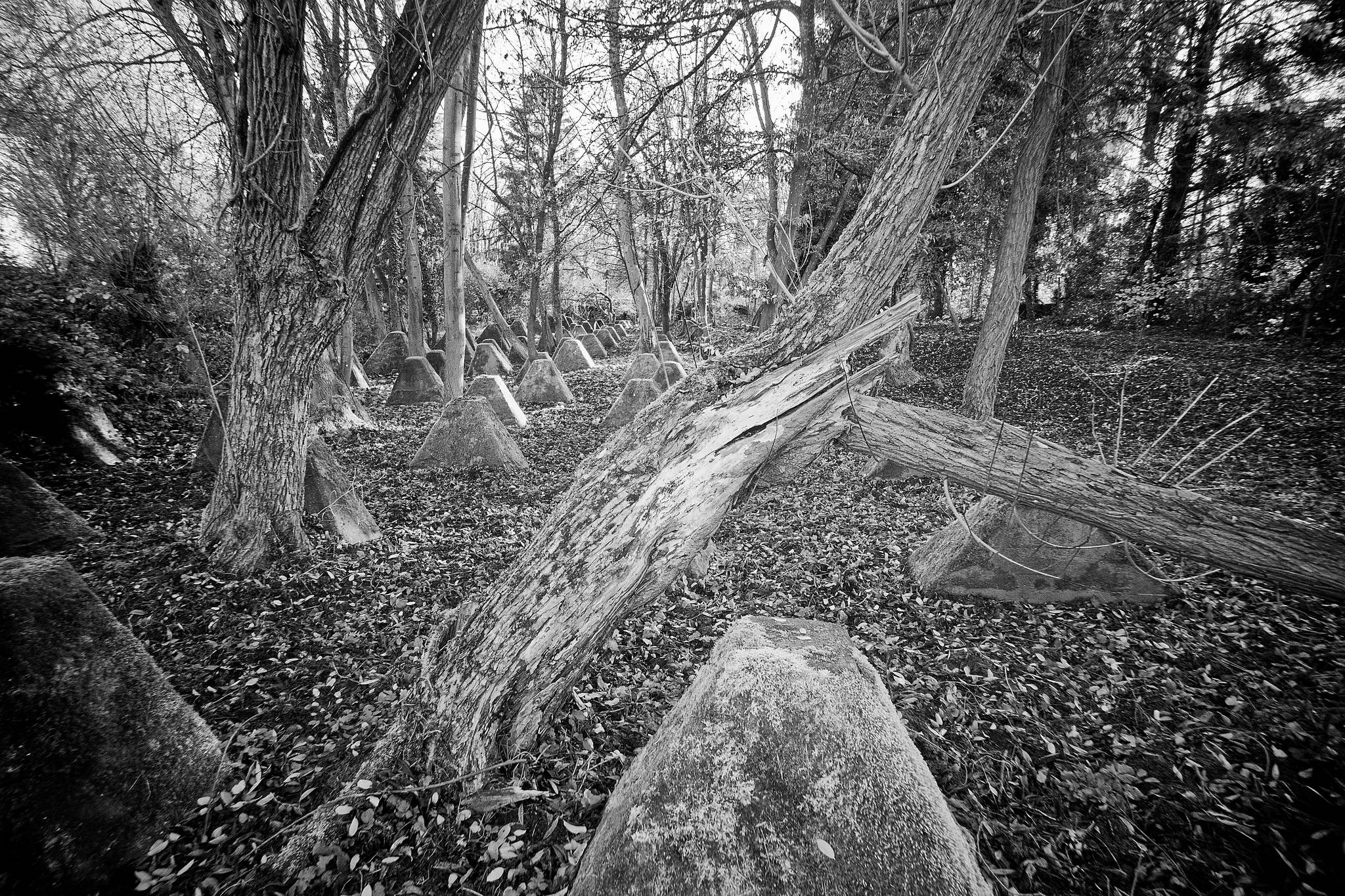 19 m10 3024 dxo 51704736701 o