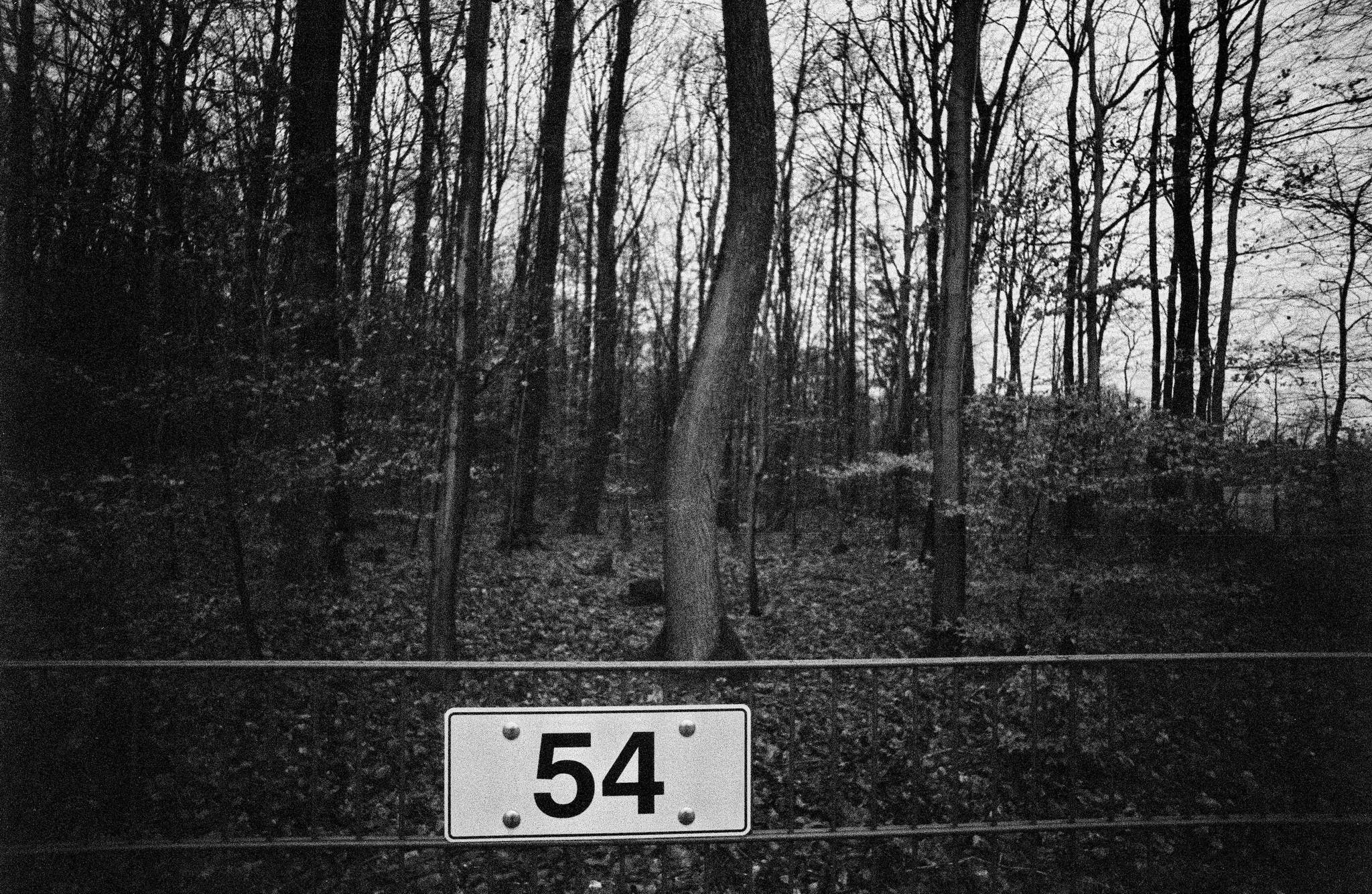 2022 01 29 0016 51854987544 o