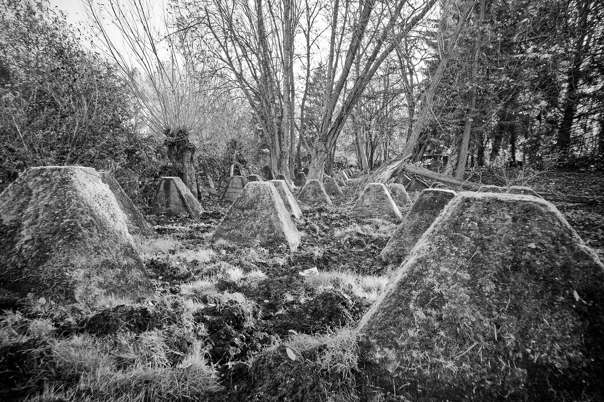 20 m10 3023 dxo 51705410904 o