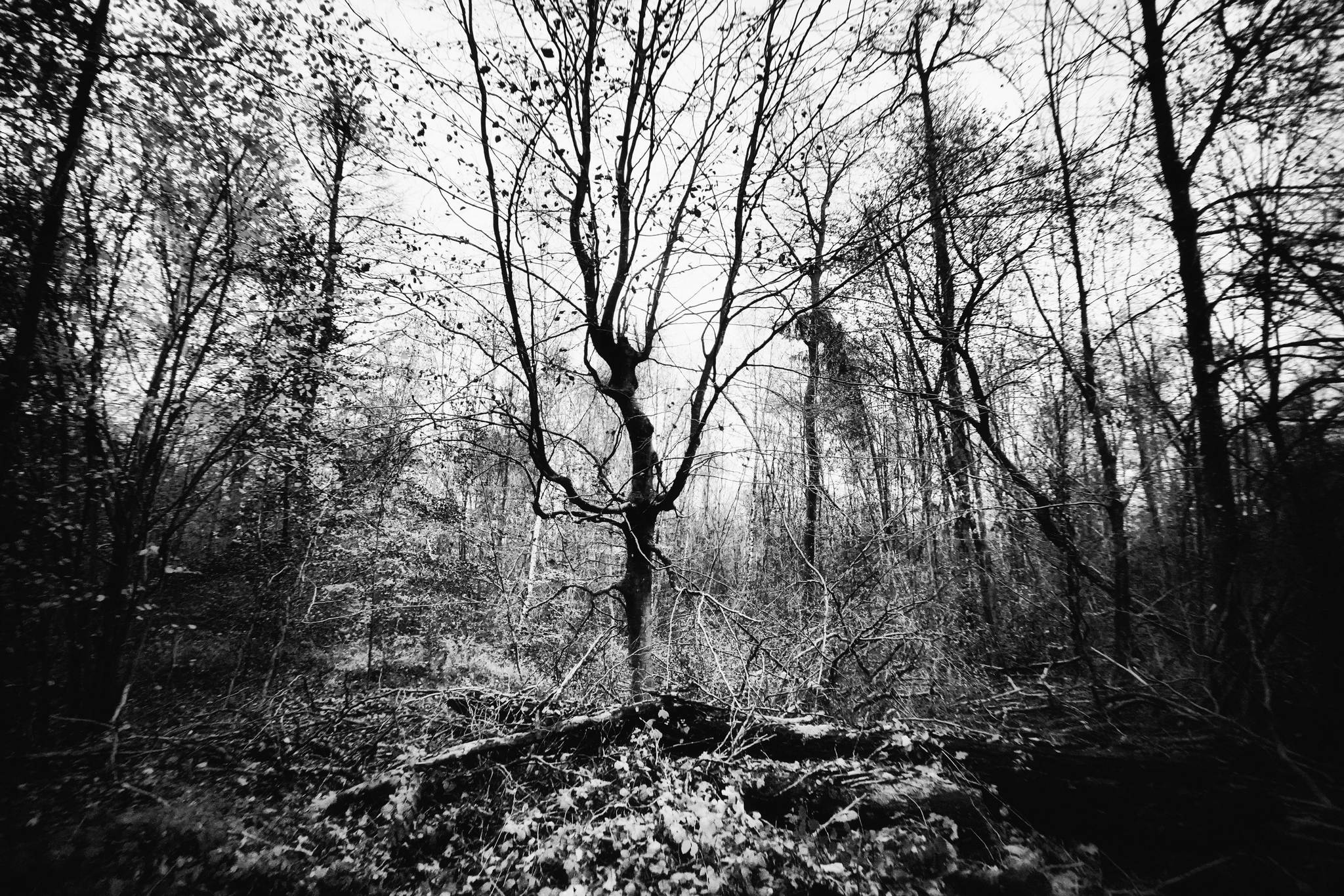 Dsc09192a 2 51767645796 o