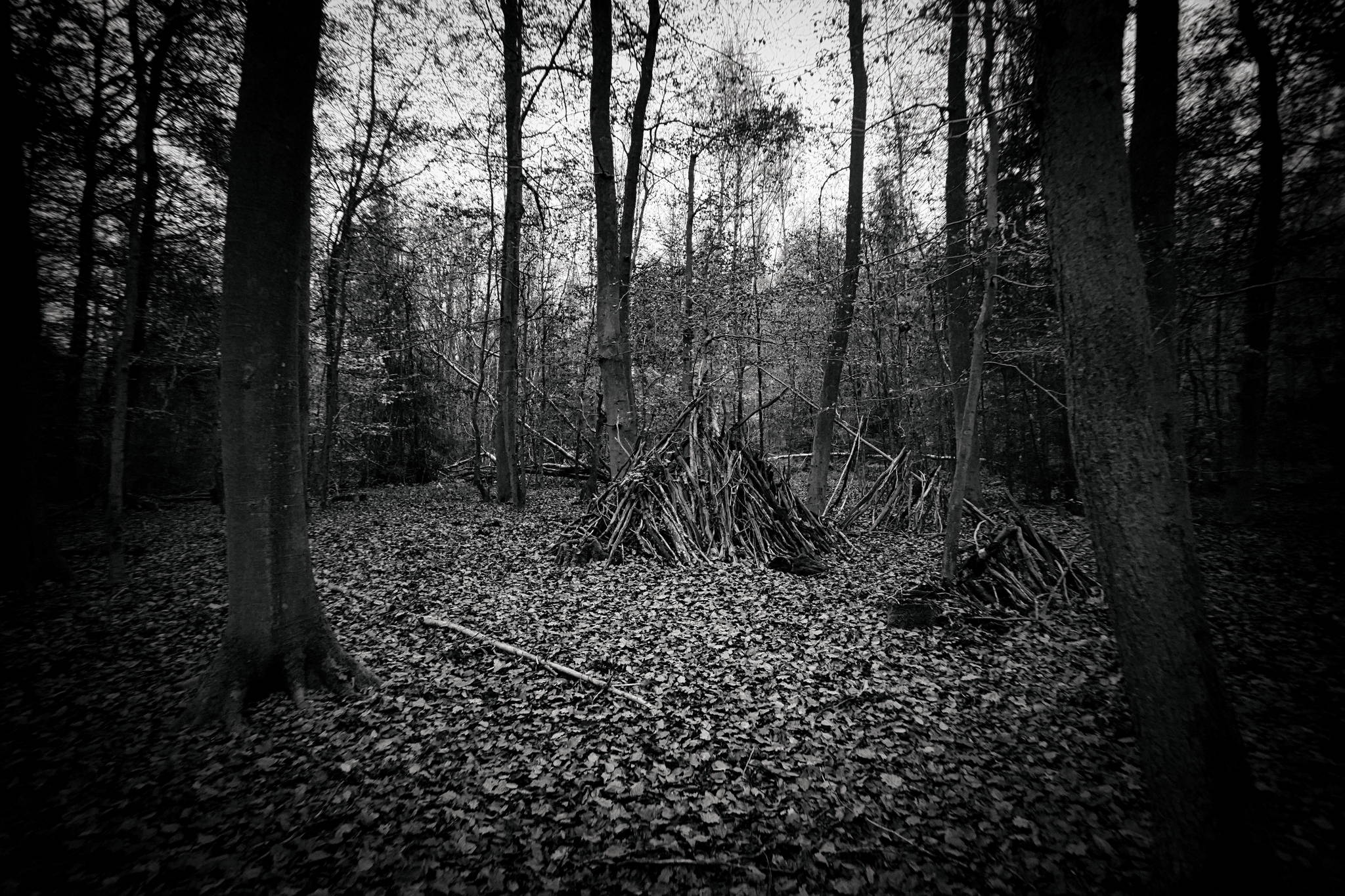 Dsc09206 1 51767888358 o