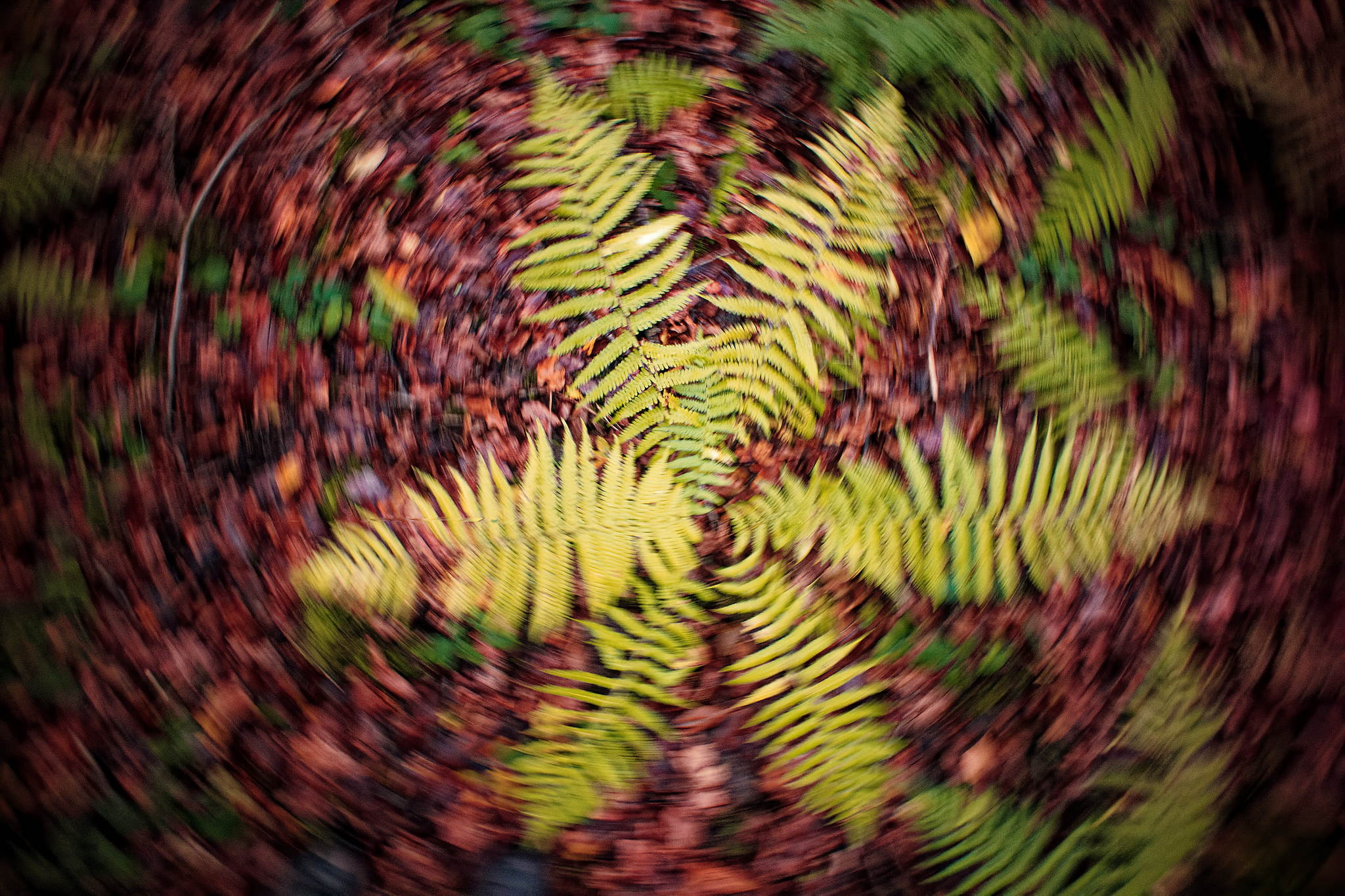 M10 2950 dxo 1 51767900418 o