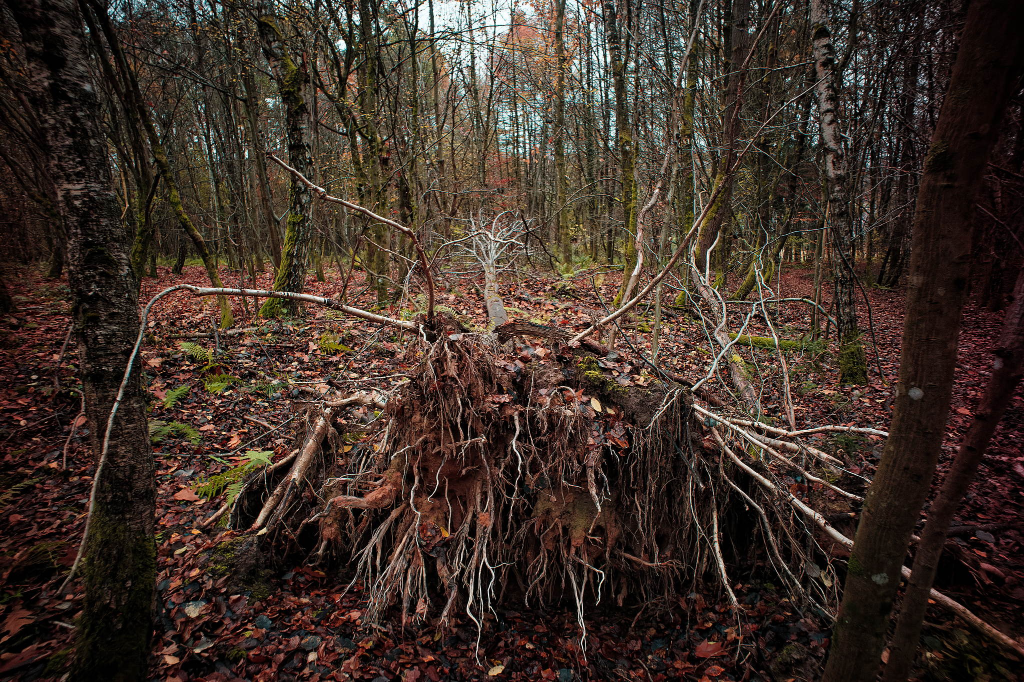 M10 2964 dxo 1 51766839392 o