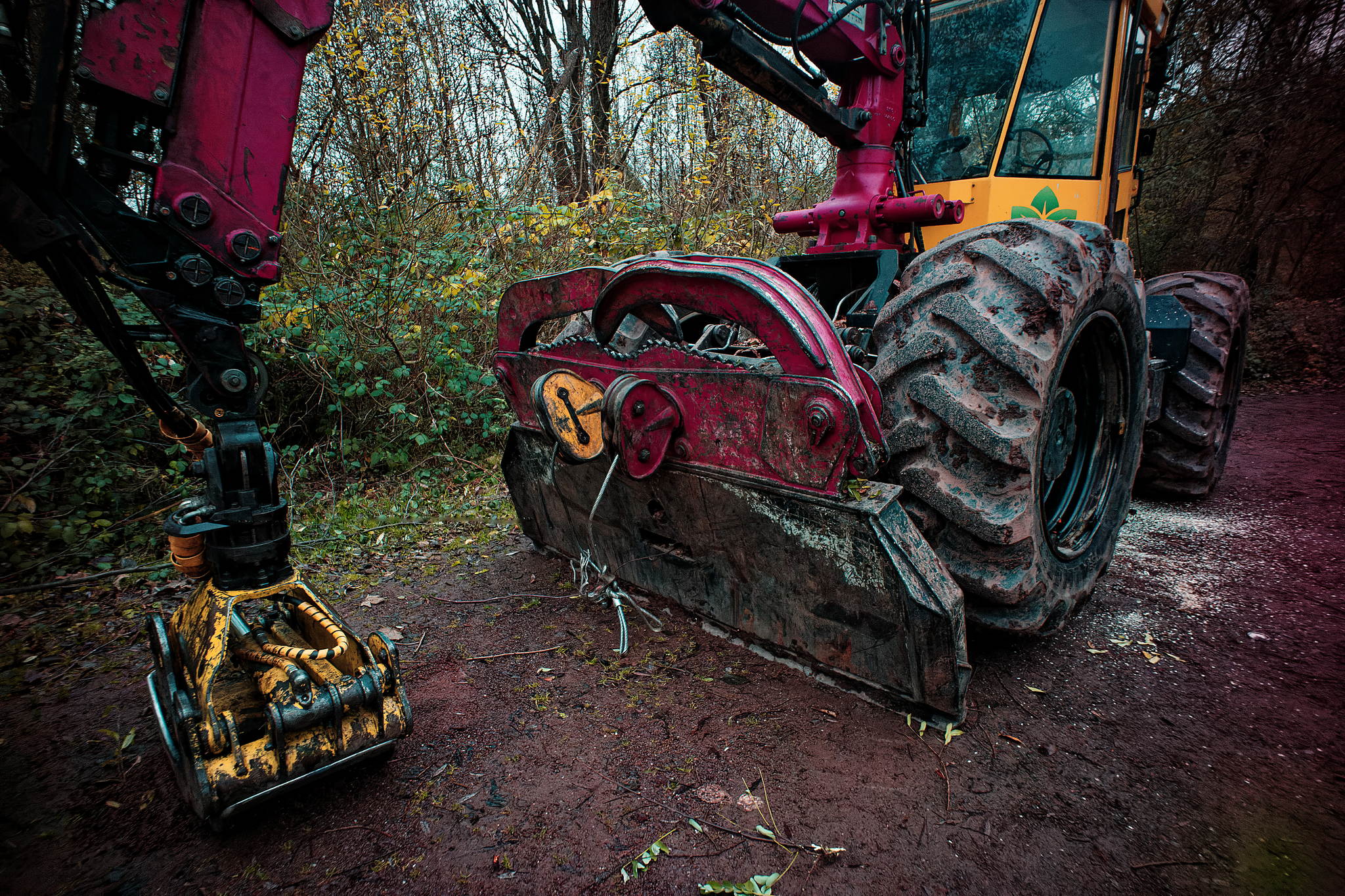 M10 2976 dxo 1 51766834567 o