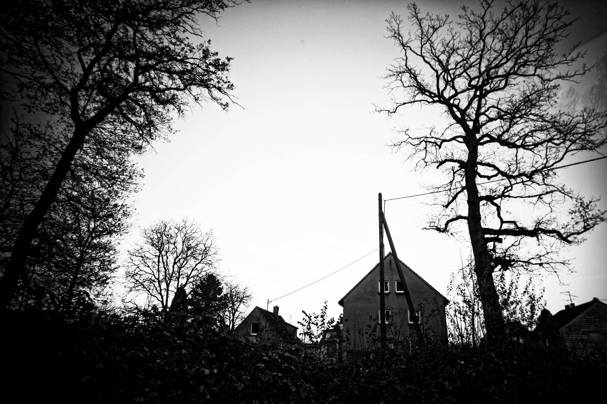 M2402673 dxo 51700694171 o