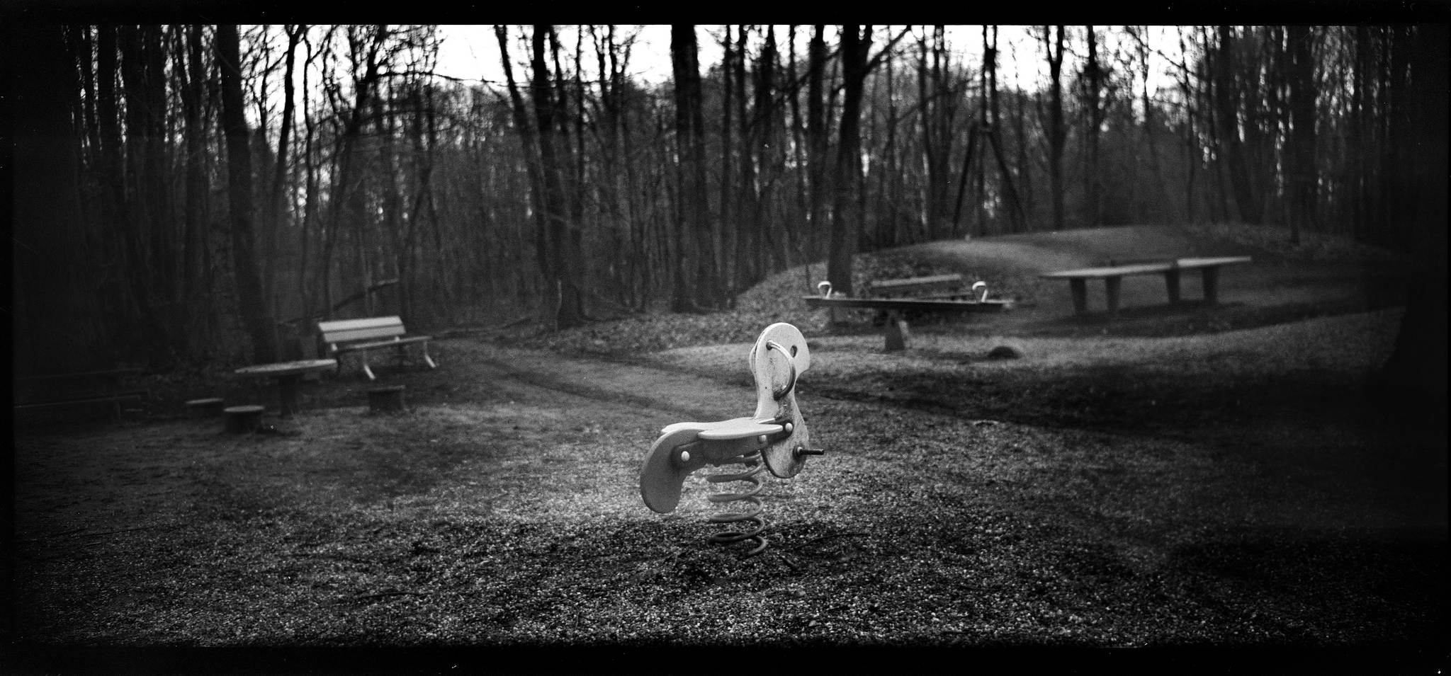 2018 03 20 holga 01 26072782407 o