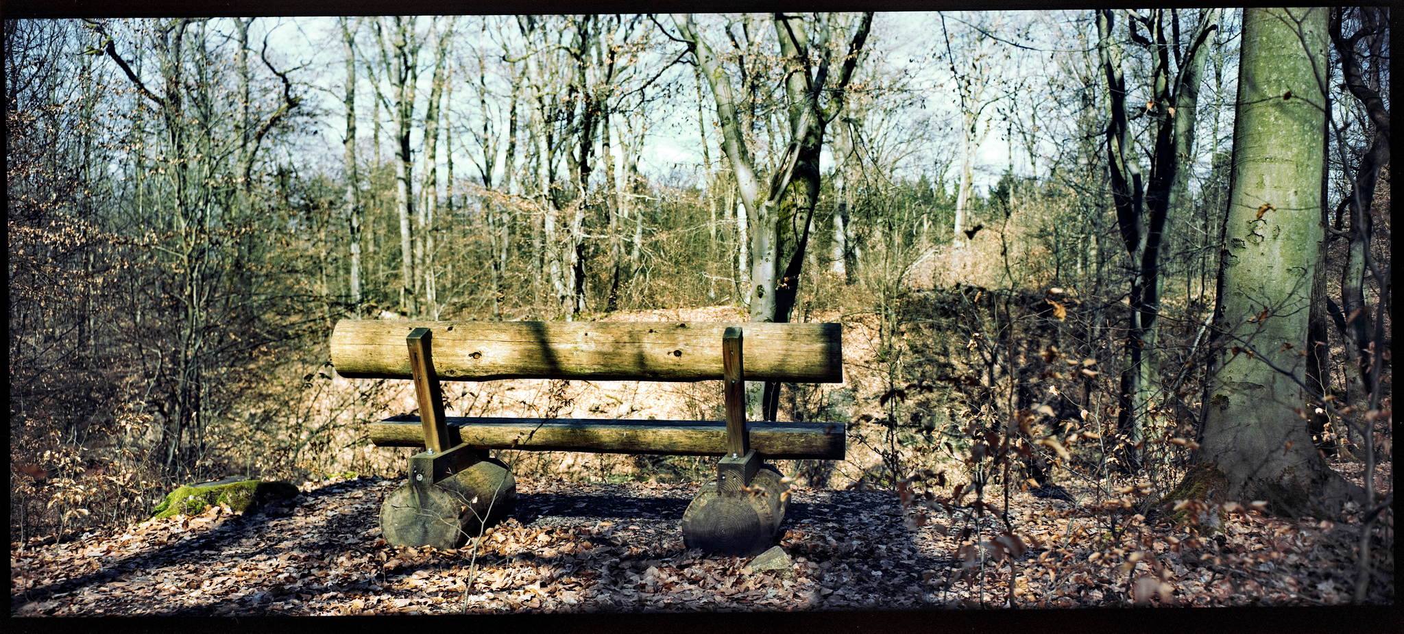 2018 03 30 holga pan 6x12 04 27269939298 o